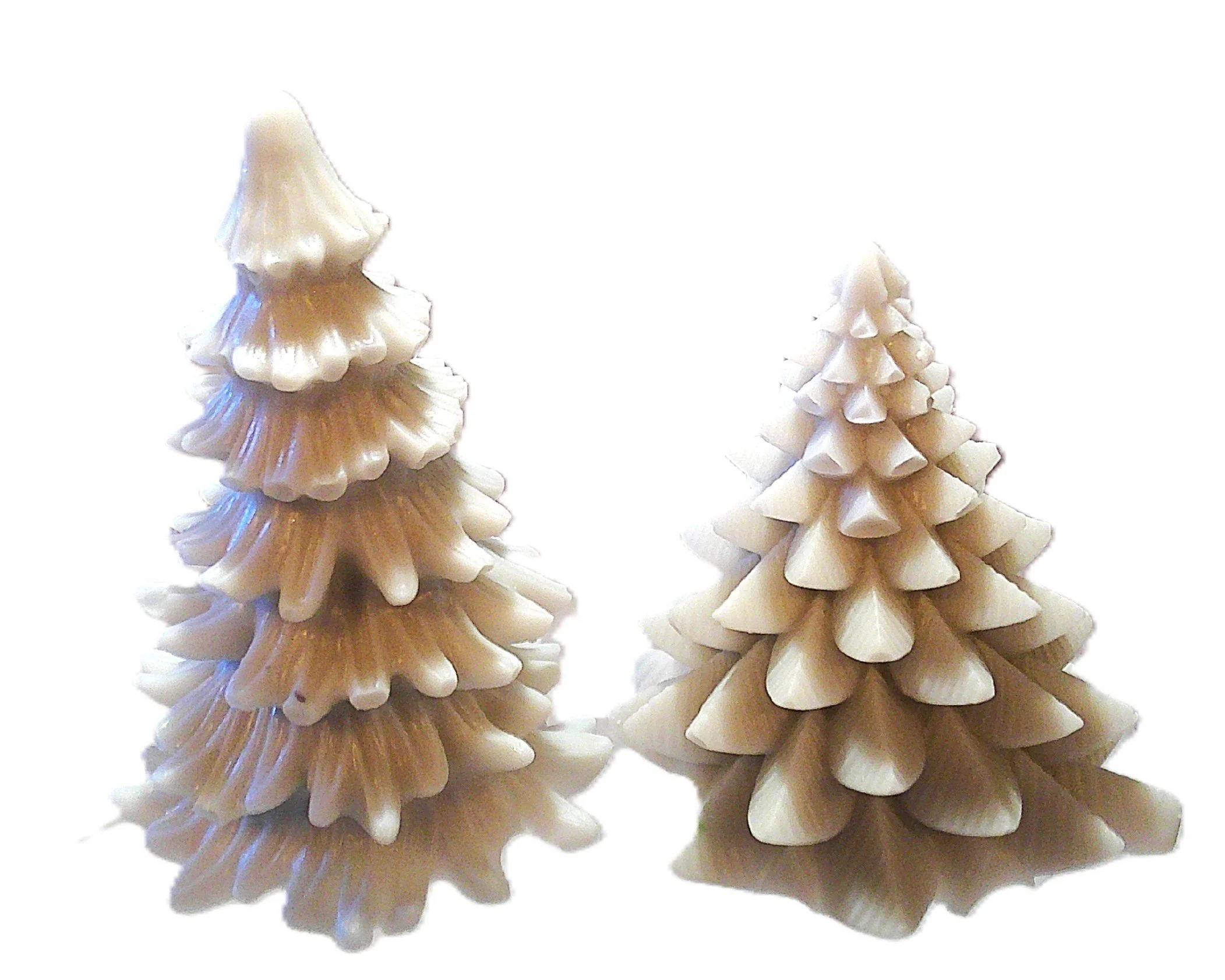silver trees 3.JPG