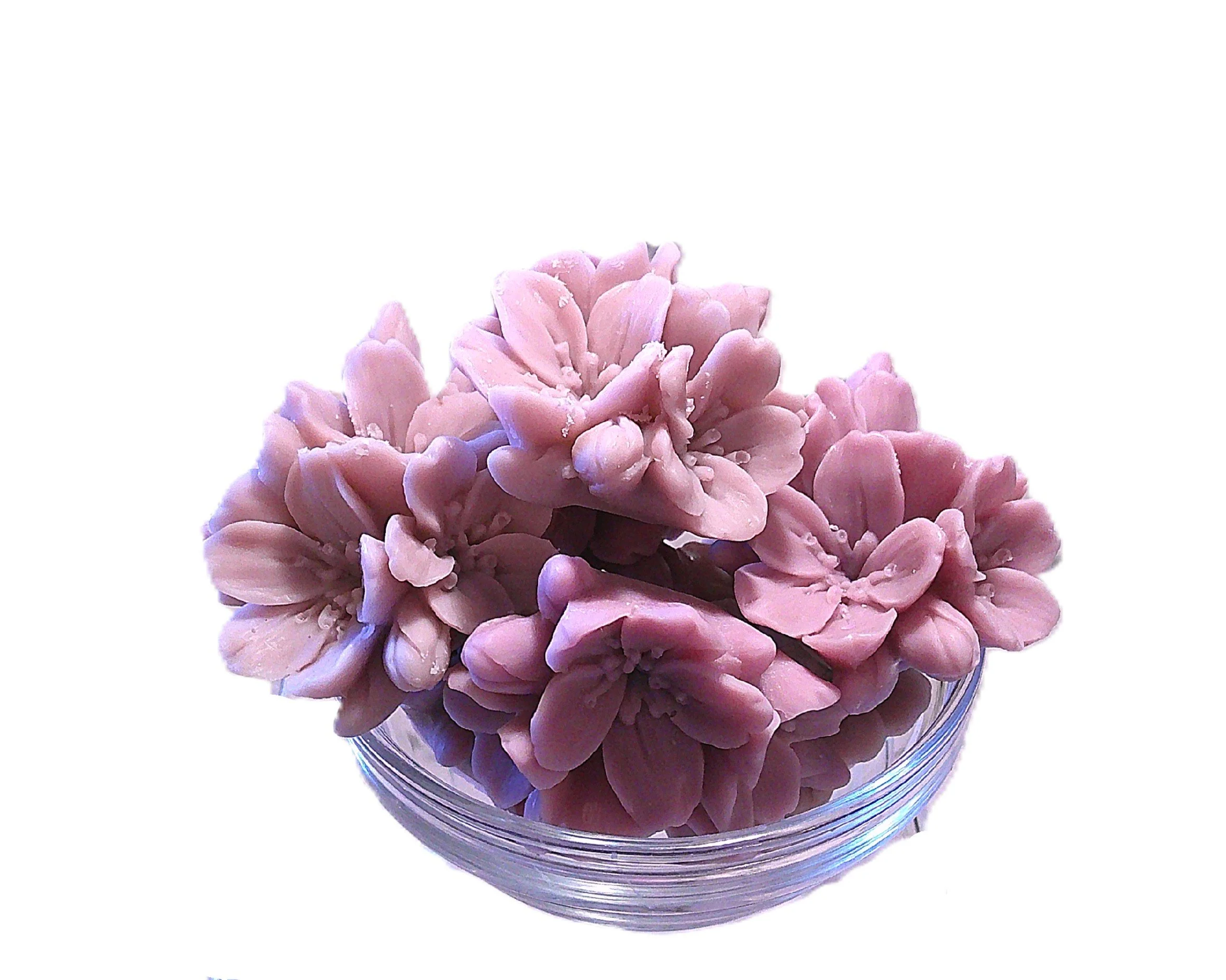 lavender white woods 2.JPG