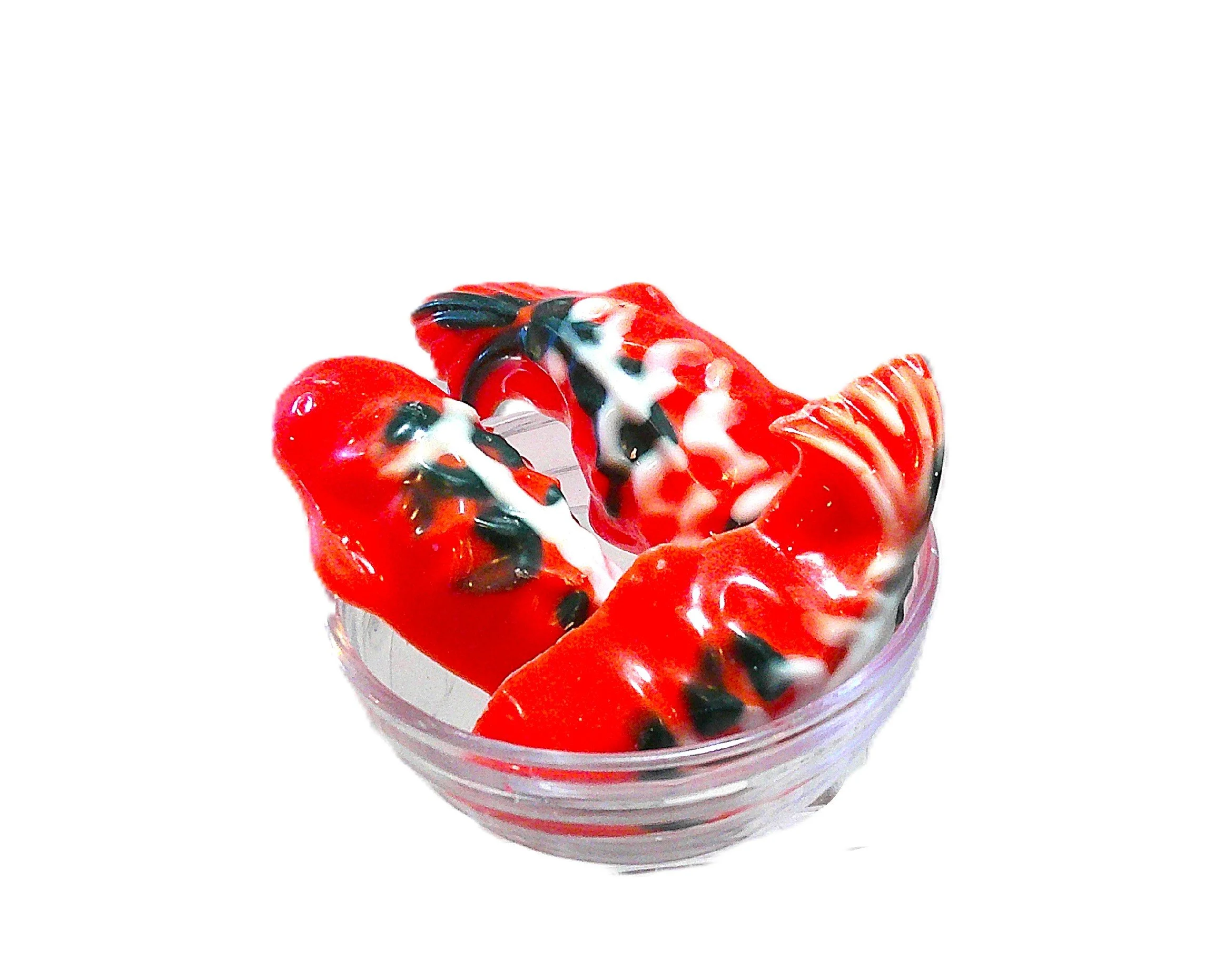 kona koi pond 1.JPG