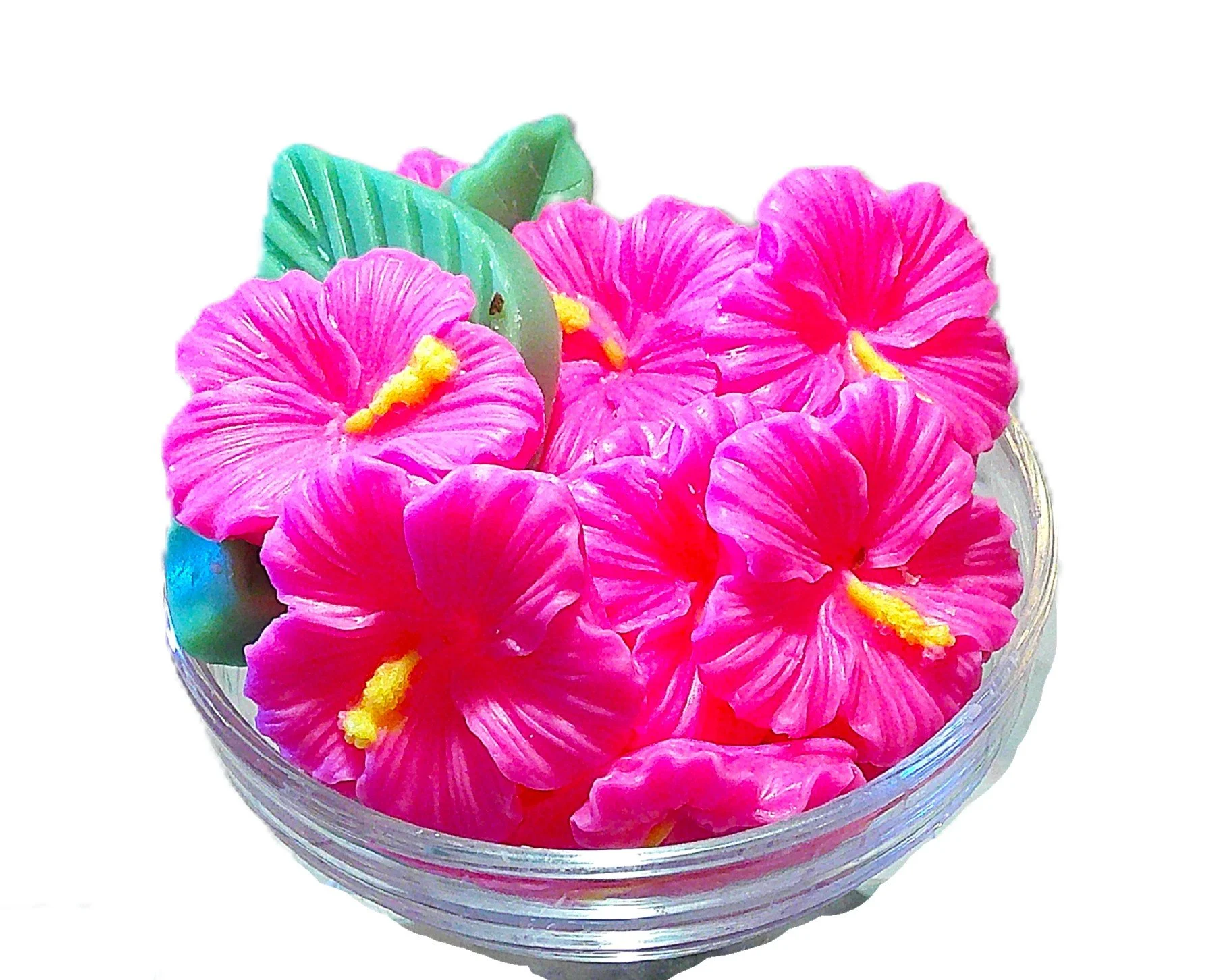 caribbean hibiscus 12.JPG