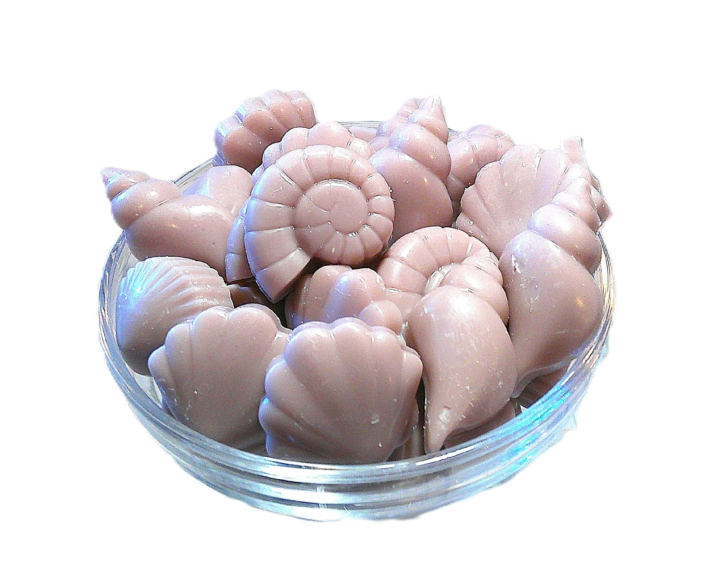 seashells at dawn 3.JPG