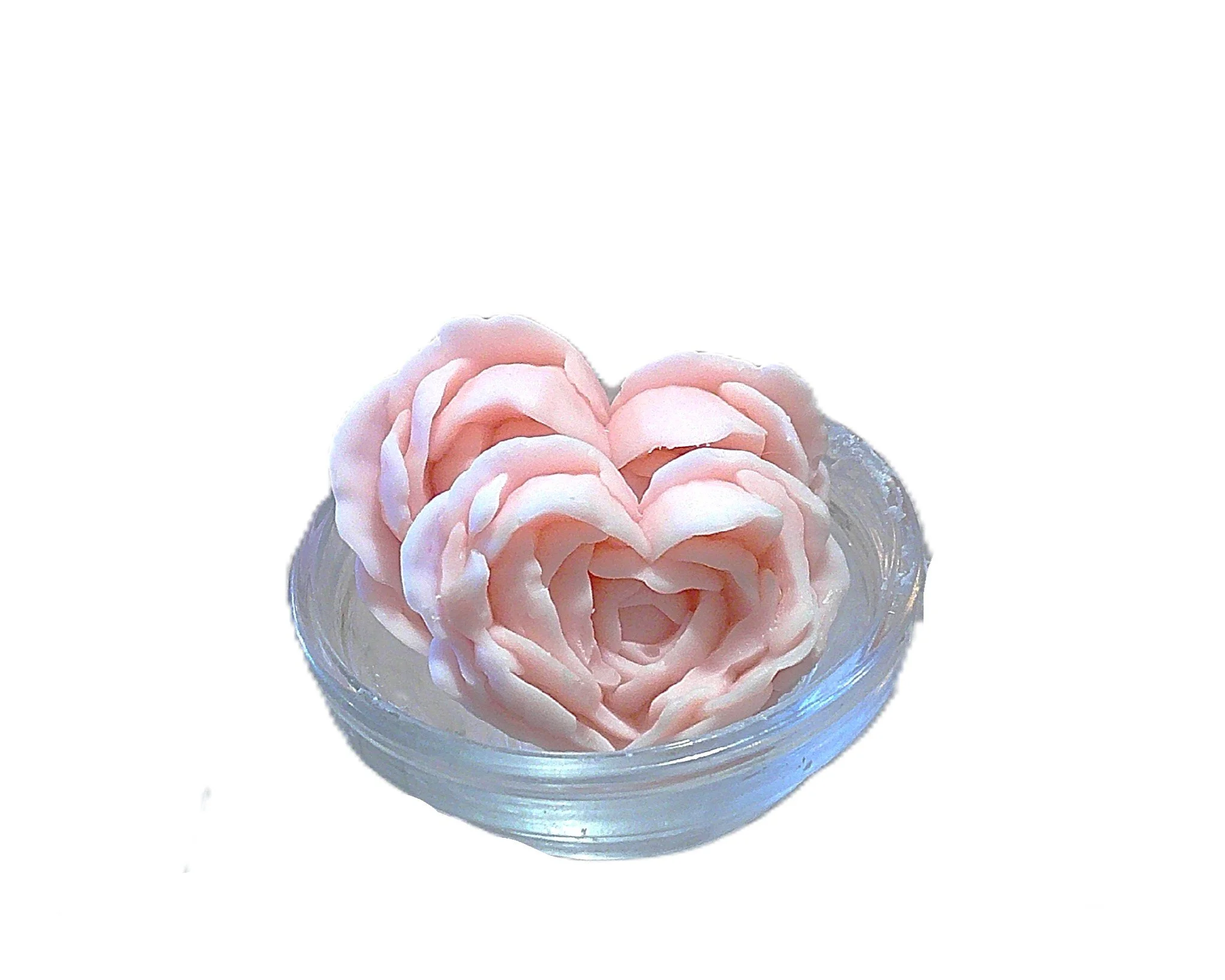 blushing tea rose 4.JPG