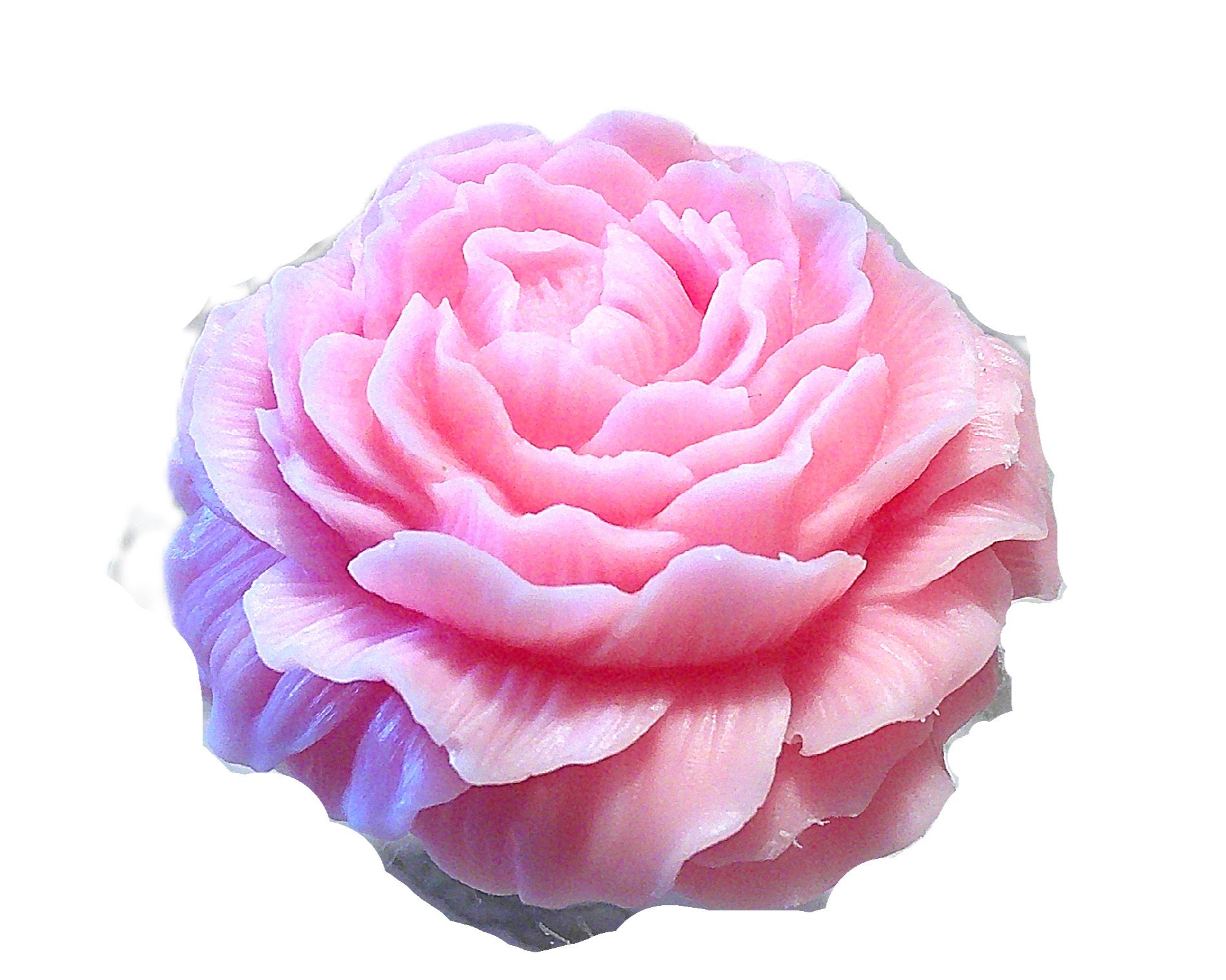 champagne and roses 6.JPG