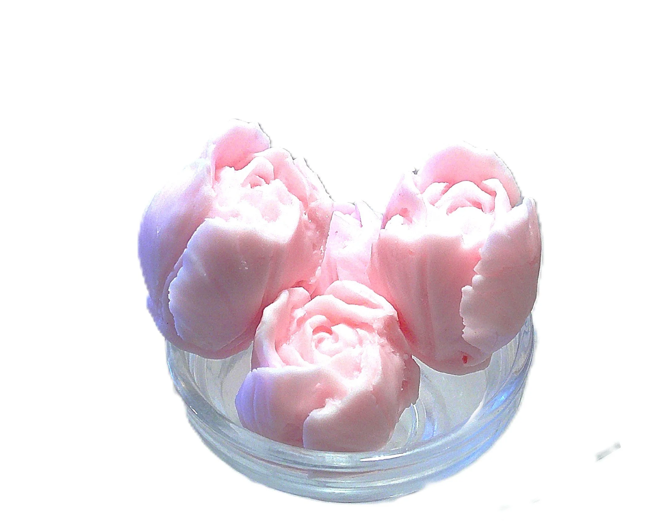 falling in love rose buds 2.JPG