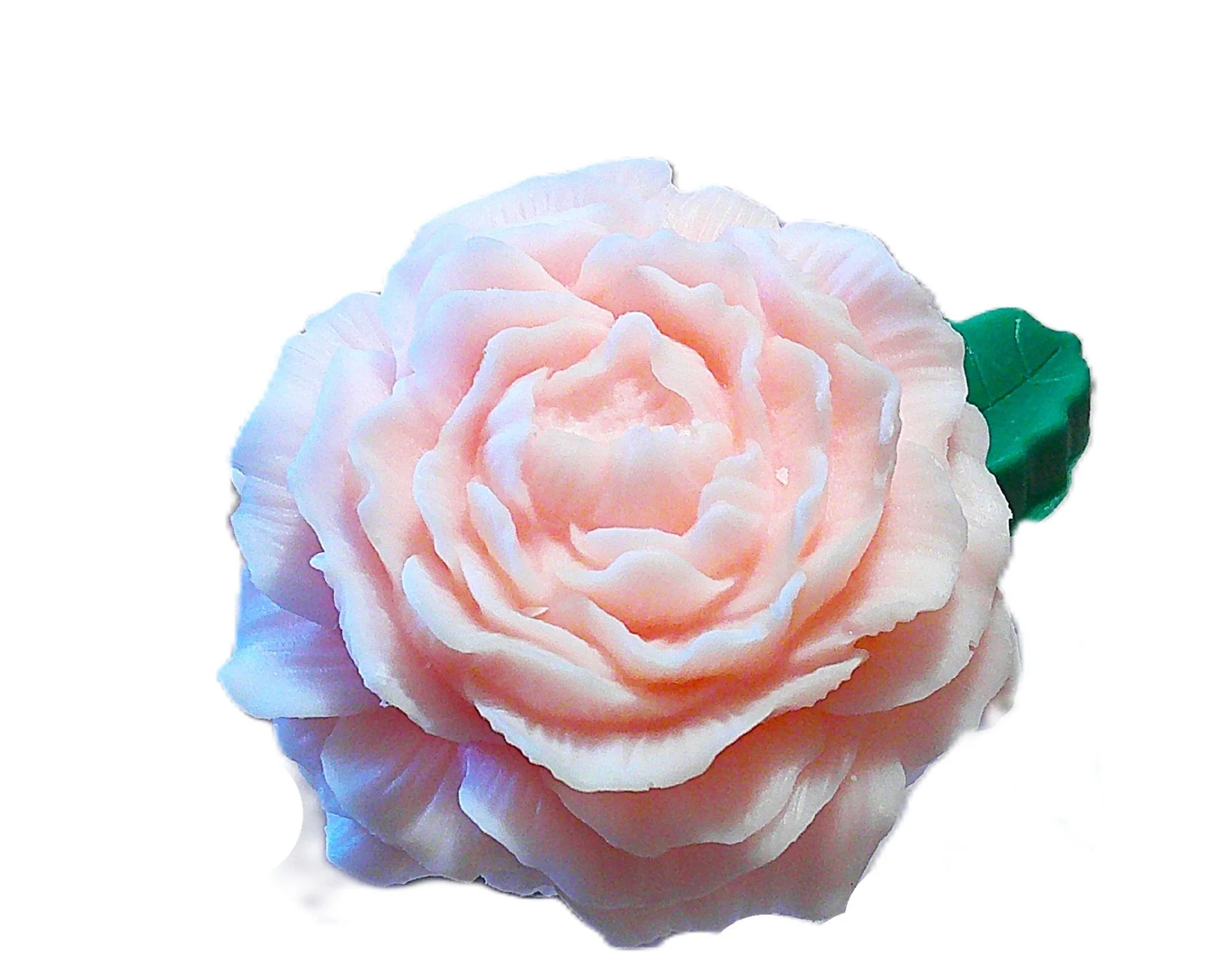 pink roses and peonies 5.JPG