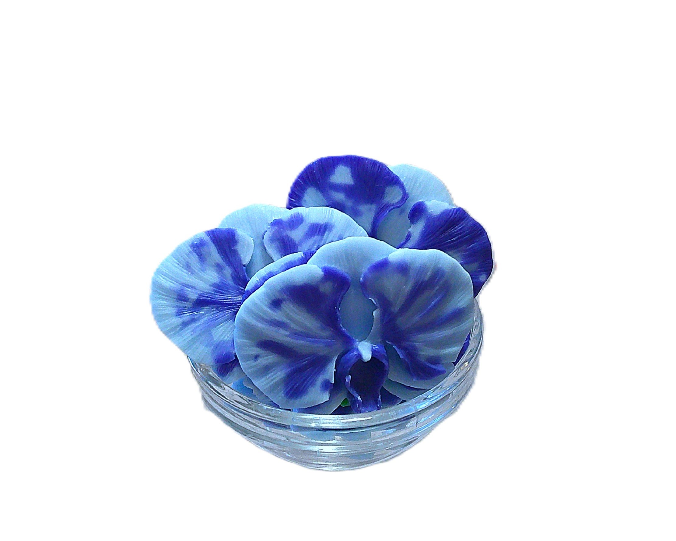 sapphire orchid water.JPG