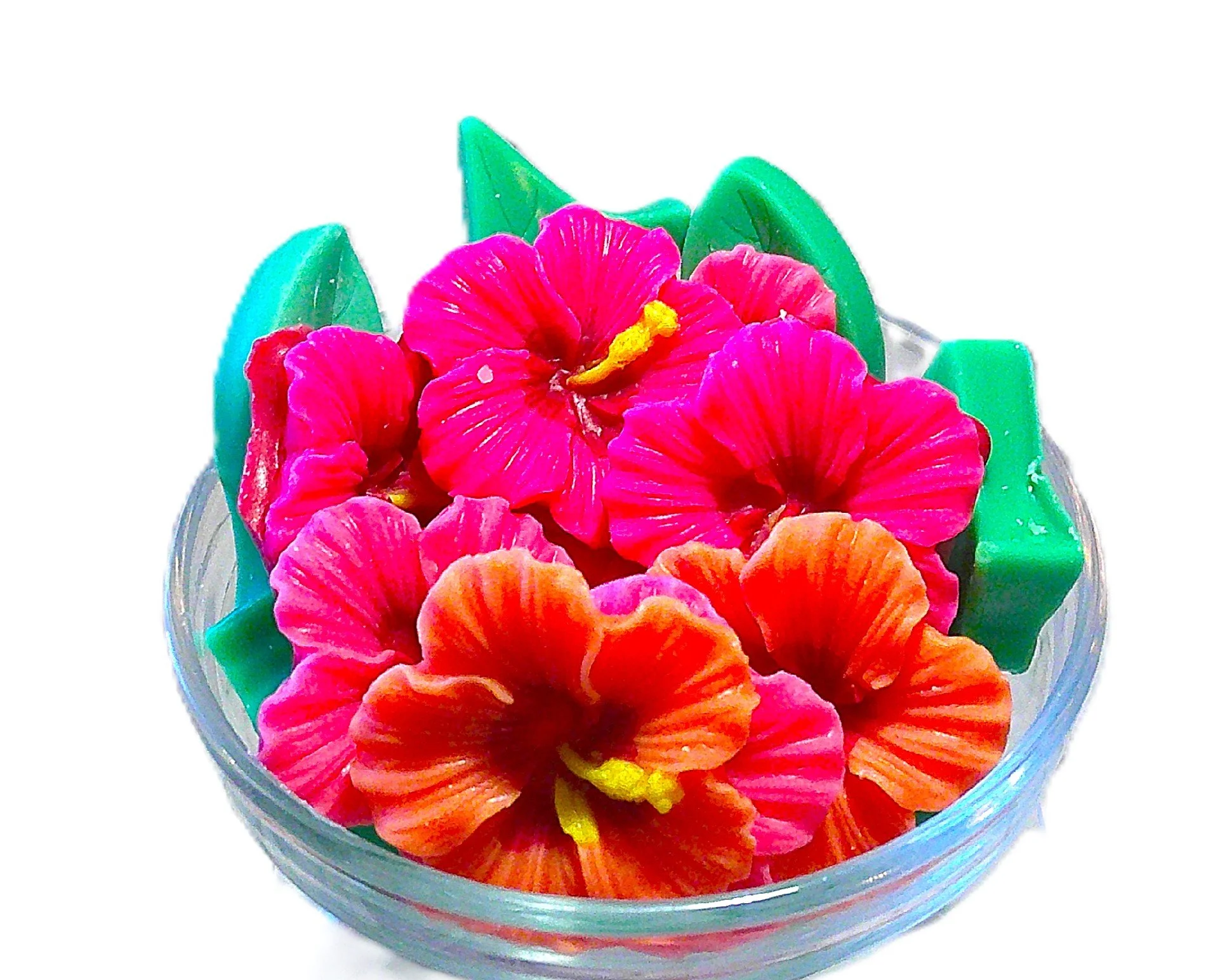 tropical fruit hibiscus 3.JPG