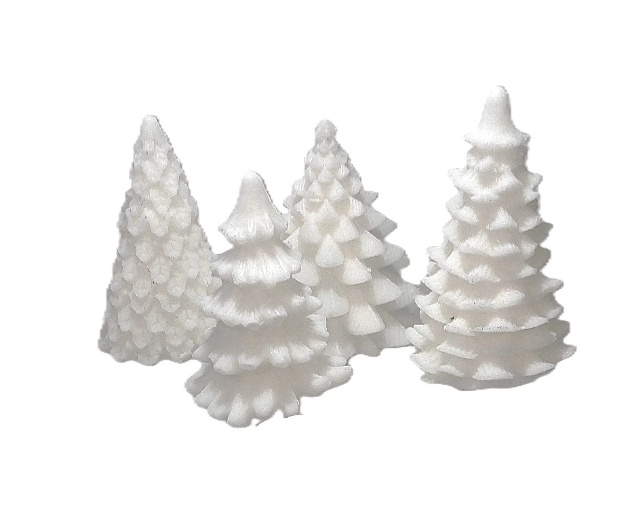 citrus+%26+spruce+trees+2.jpg