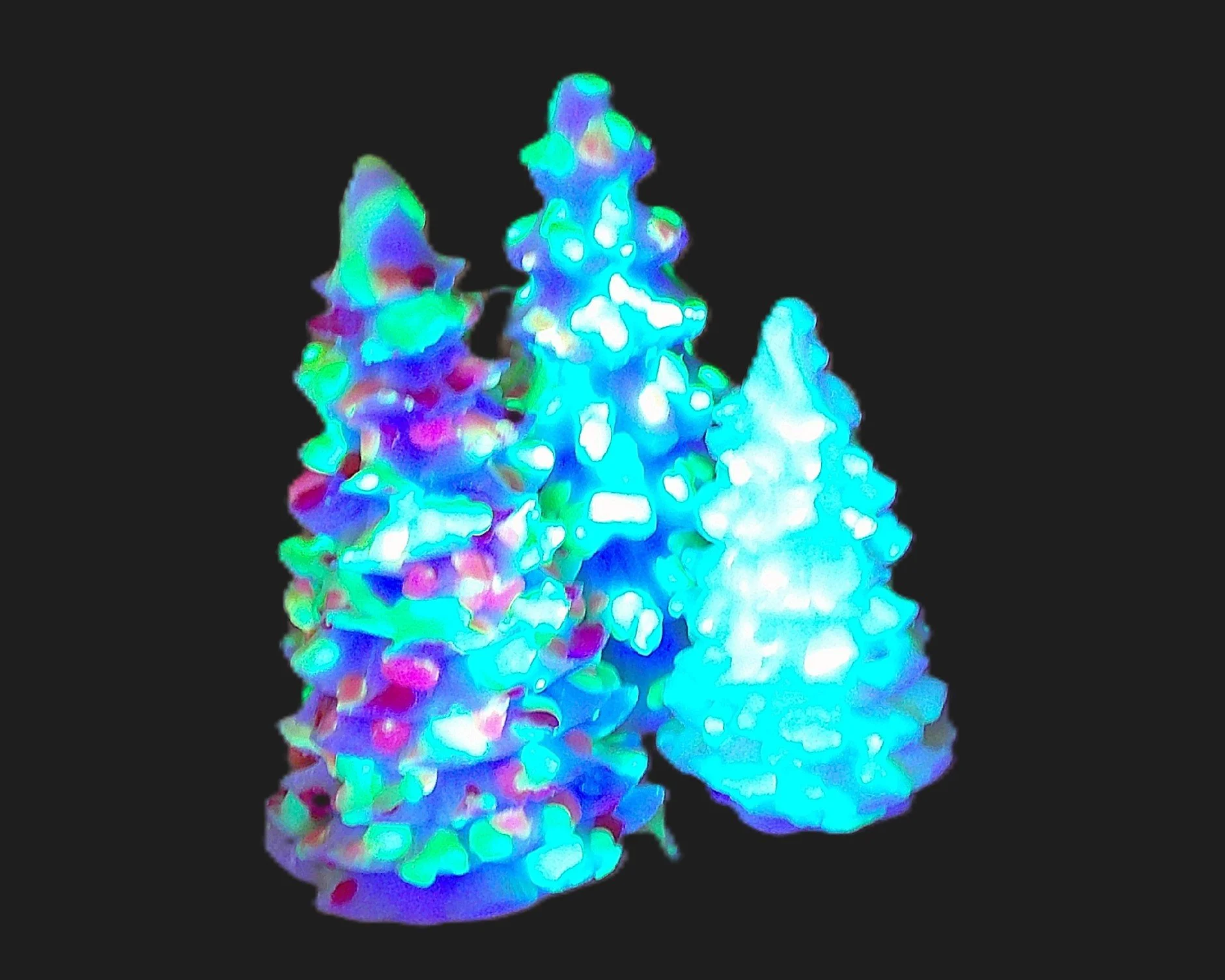 decorated trees with lights 2.jpg