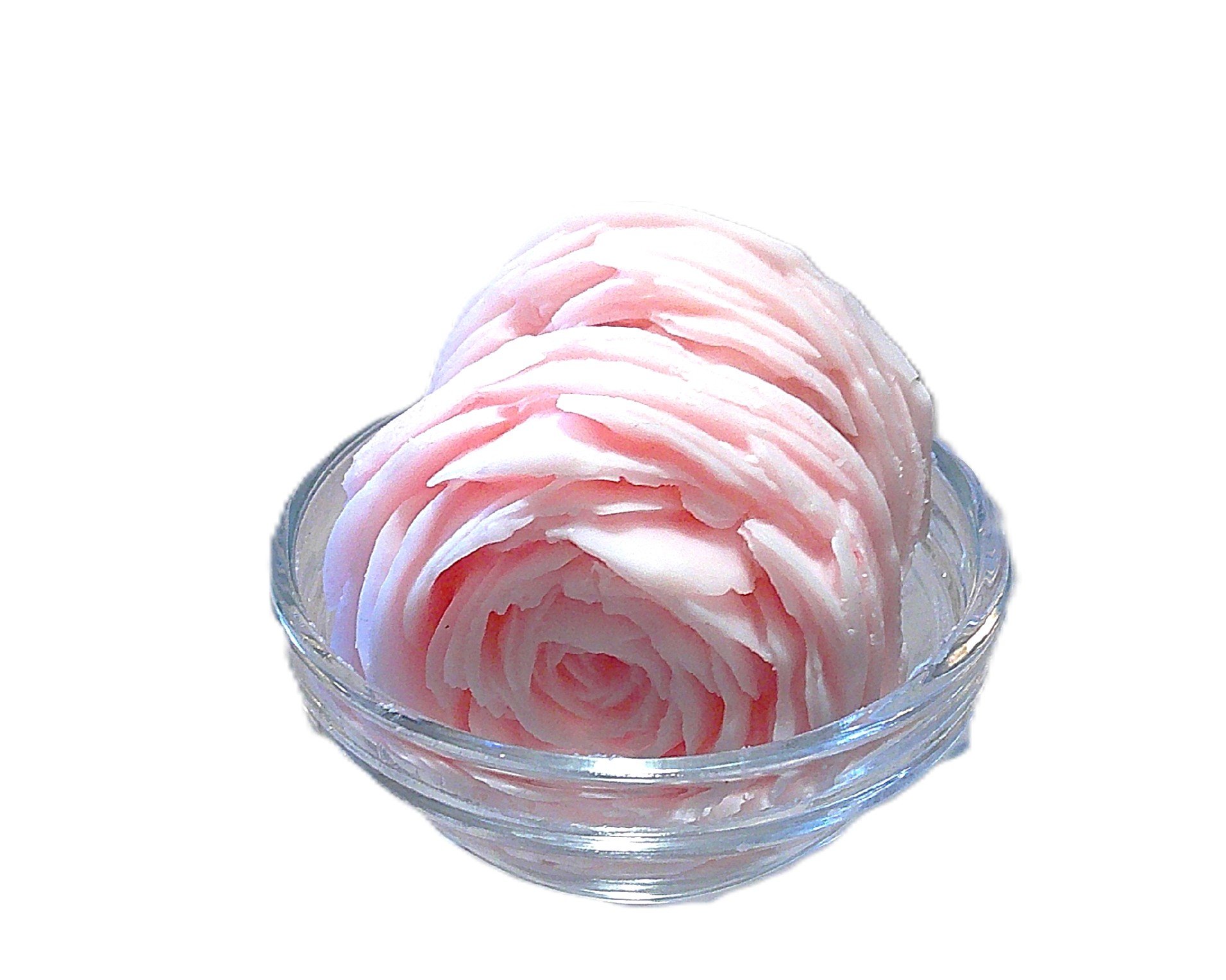 sunset snuggle 3.JPG