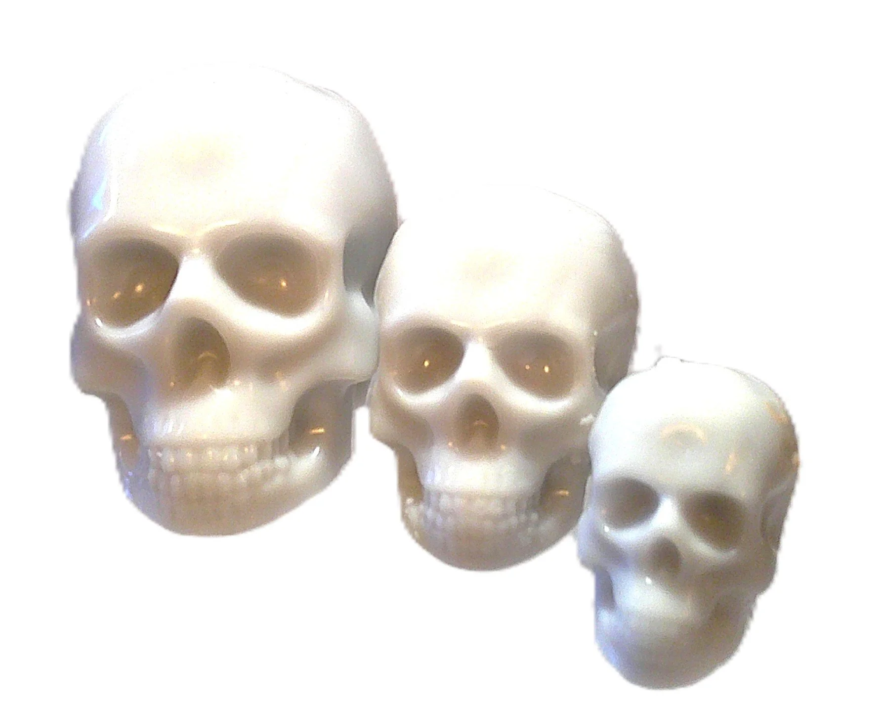 white skulls 1.JPG