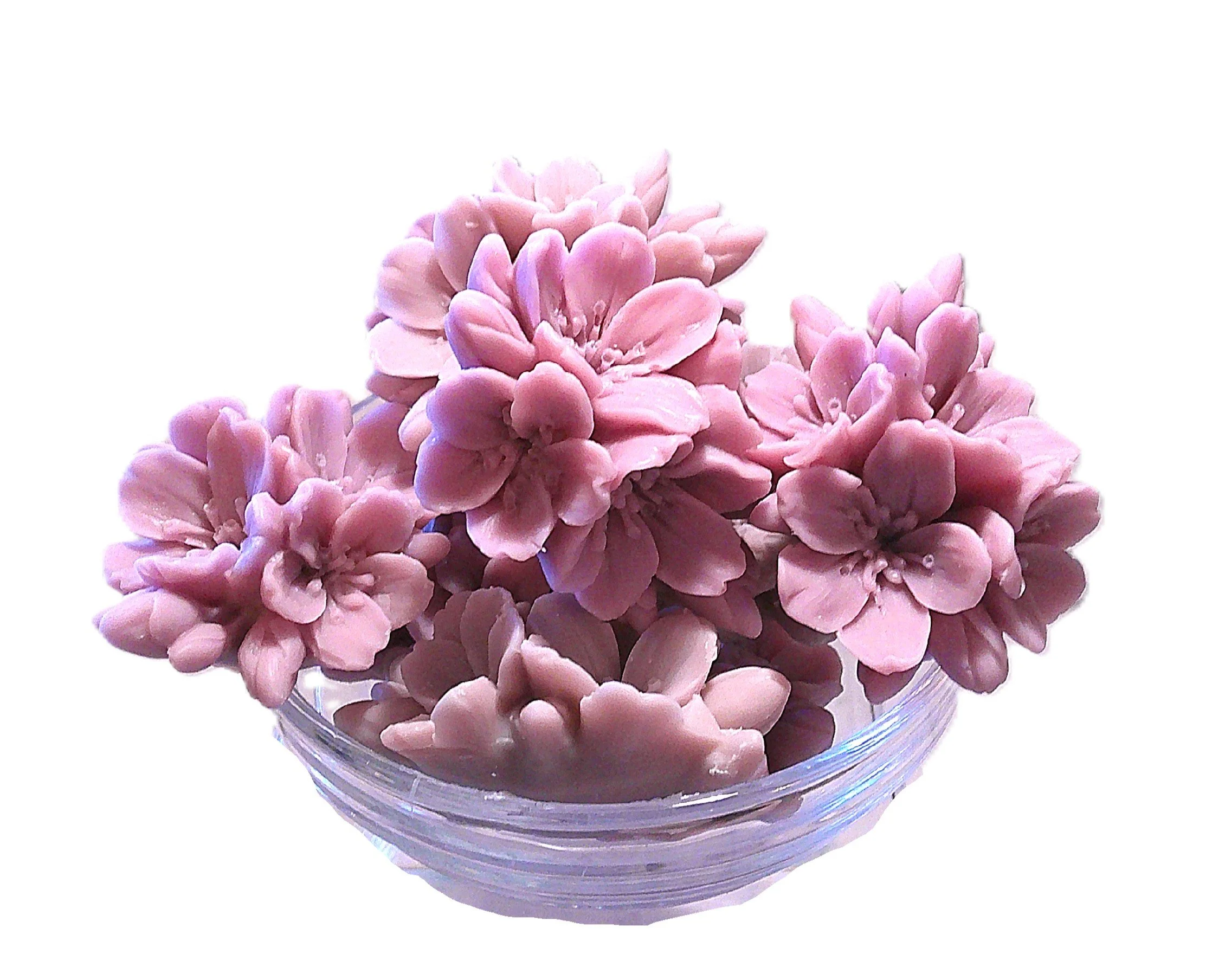 lavender white woods 3.JPG