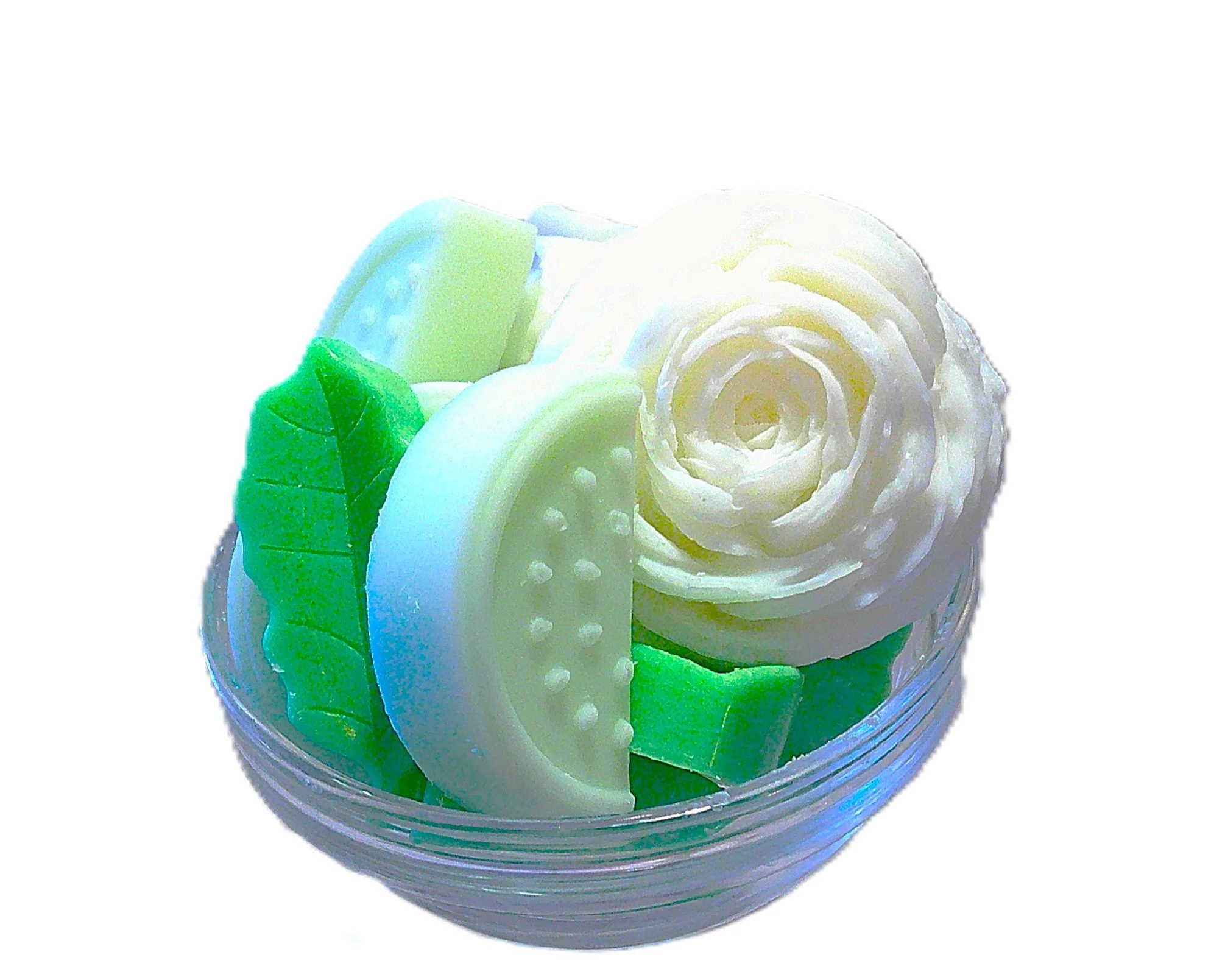 white rose cucumber 3.JPG