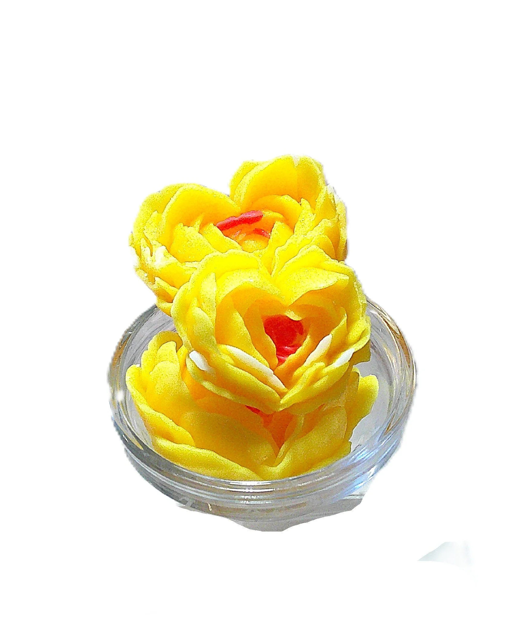 plumeria large 3.JPG