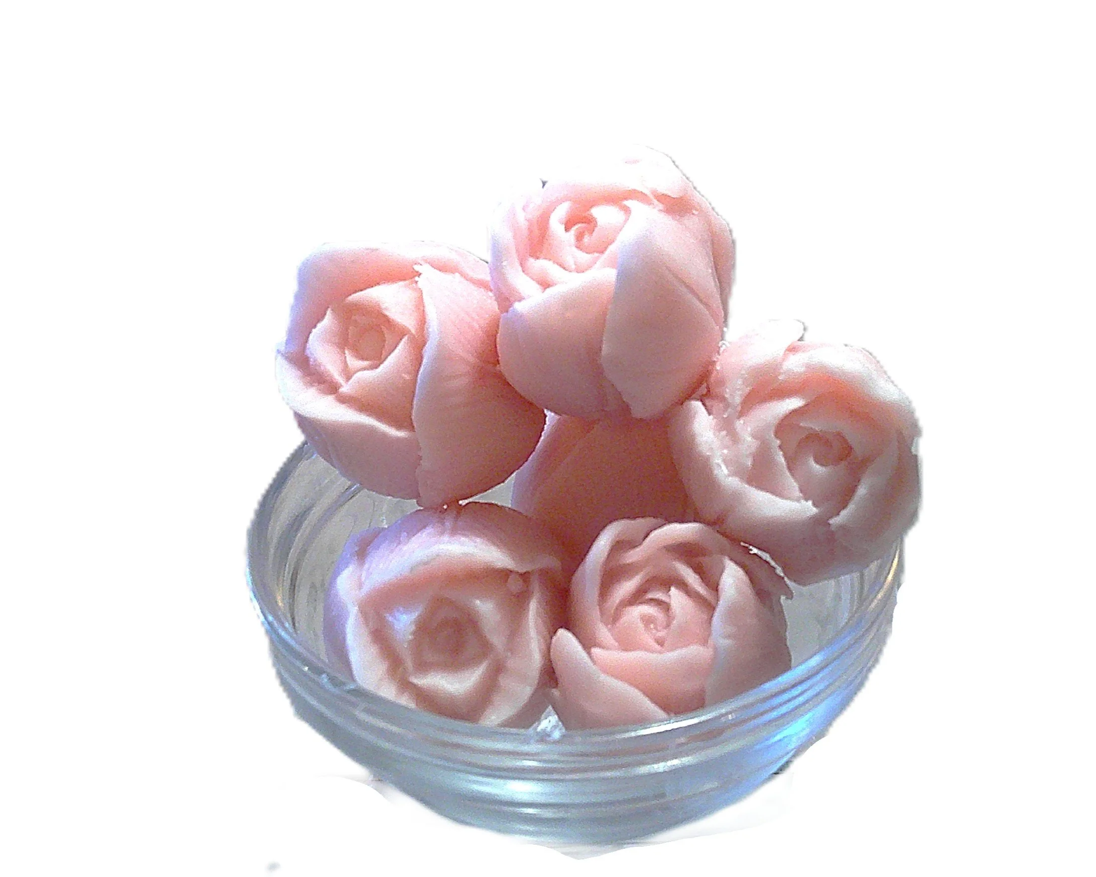 blushing tea rose 2.JPG