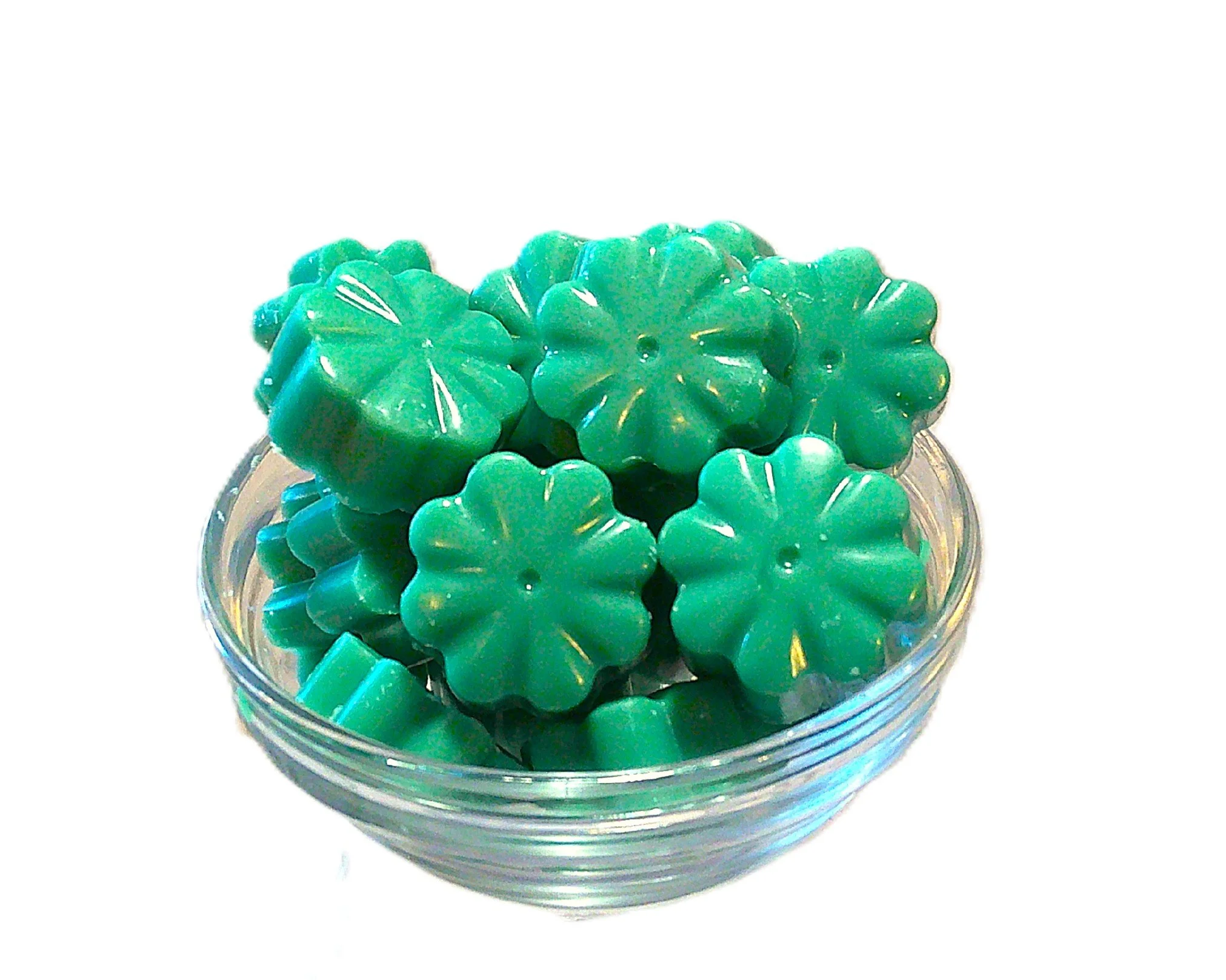 lucky shamrocks 2.JPG