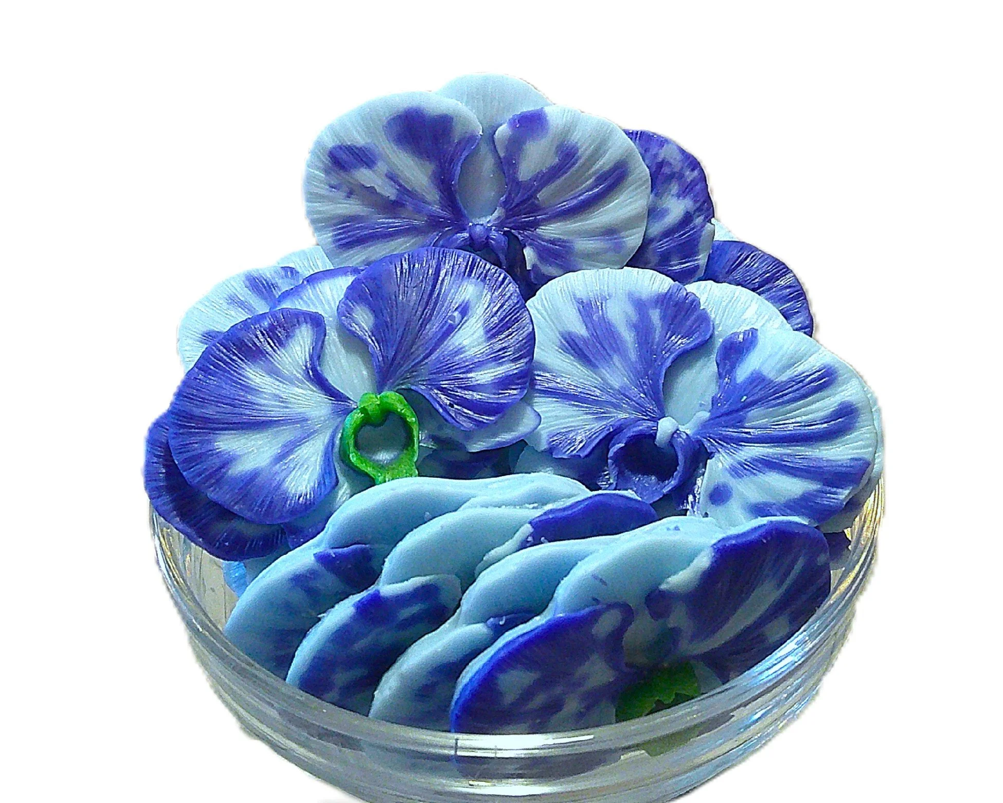 sapphire orchid water 12.JPG