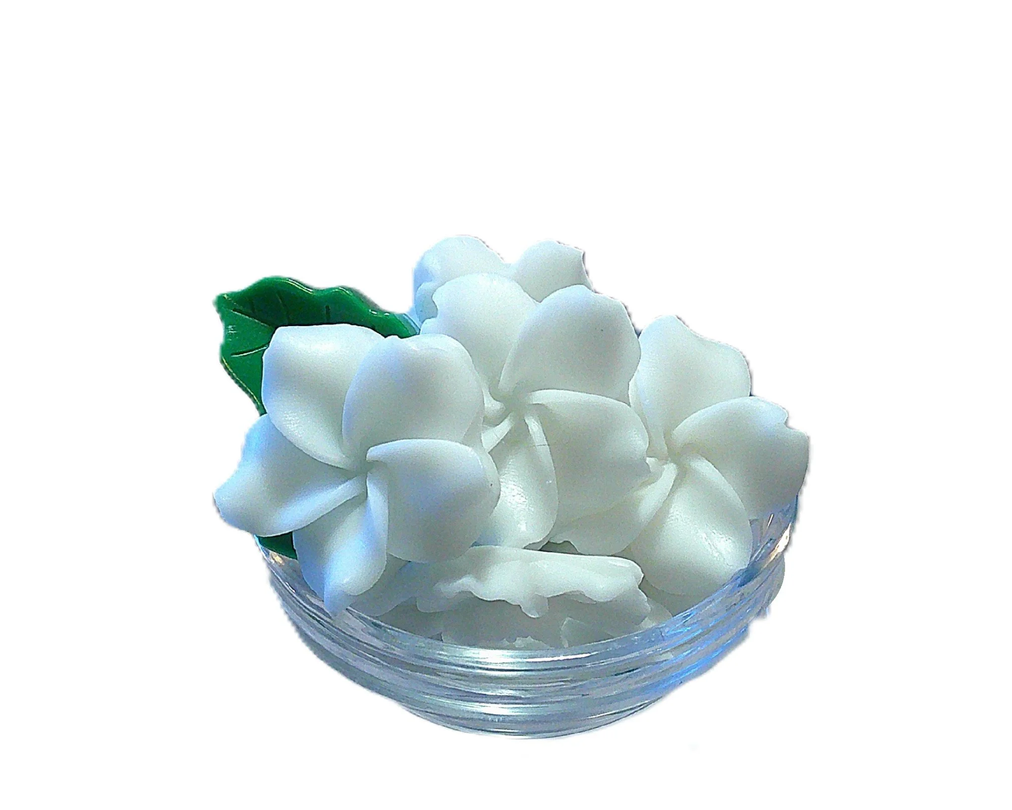gardenia and greens 3.JPG