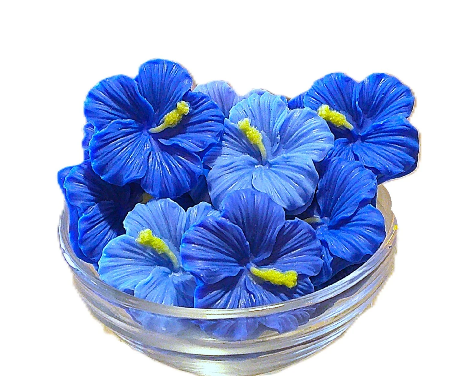 heavenly blue hibiscus 3.JPG
