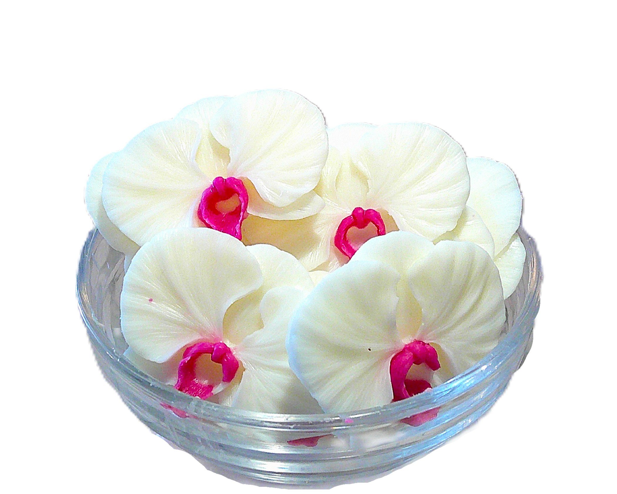 extraordinary orchid 4.JPG