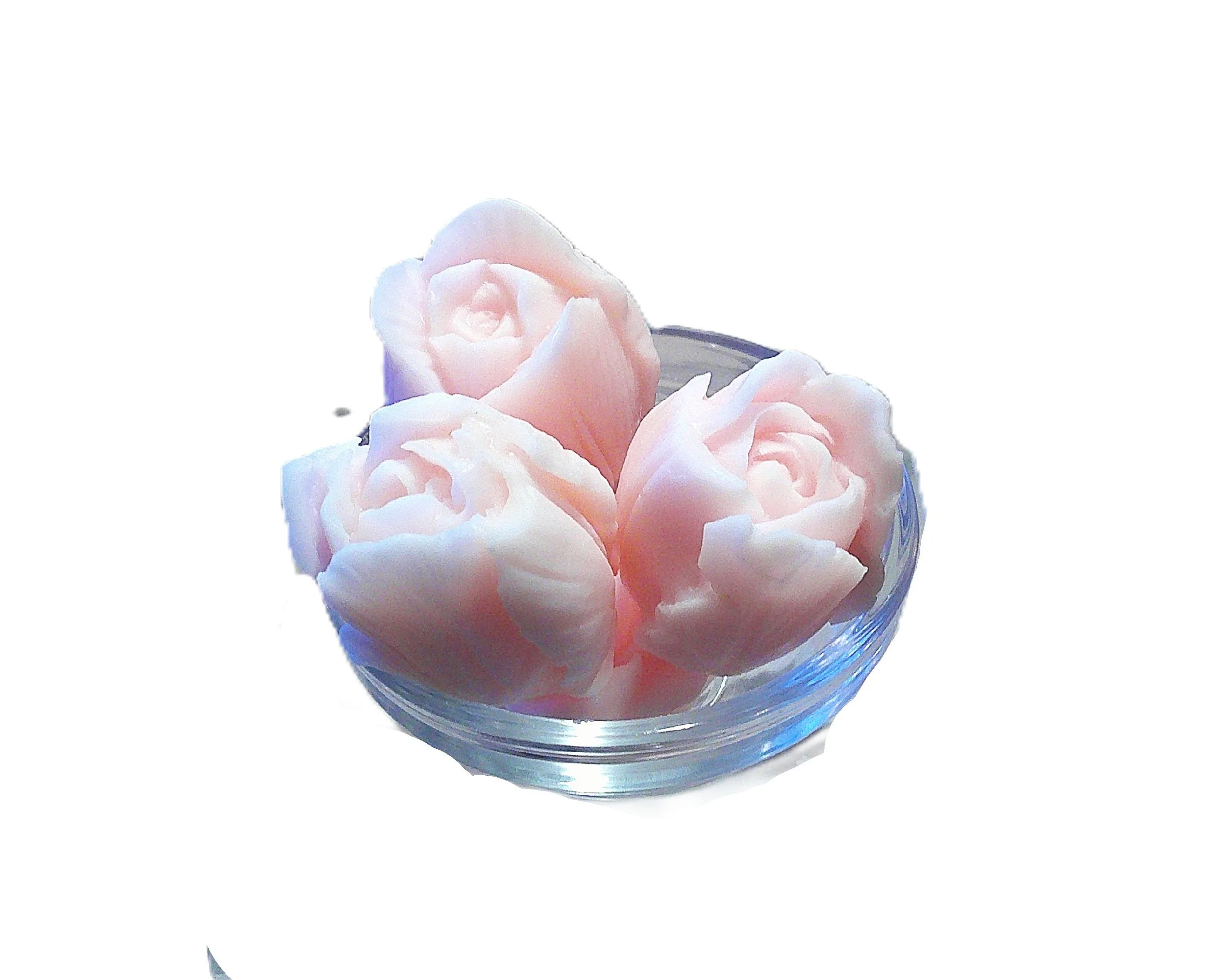 delicate pink rosebuds 1.JPG