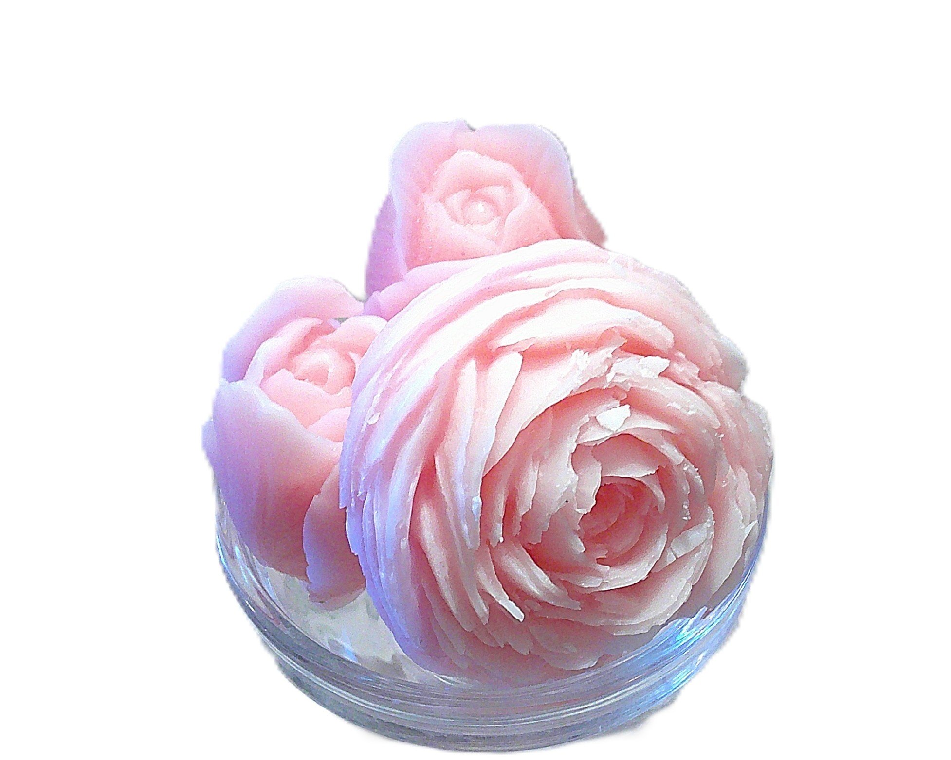 tea with daisy 5.JPG