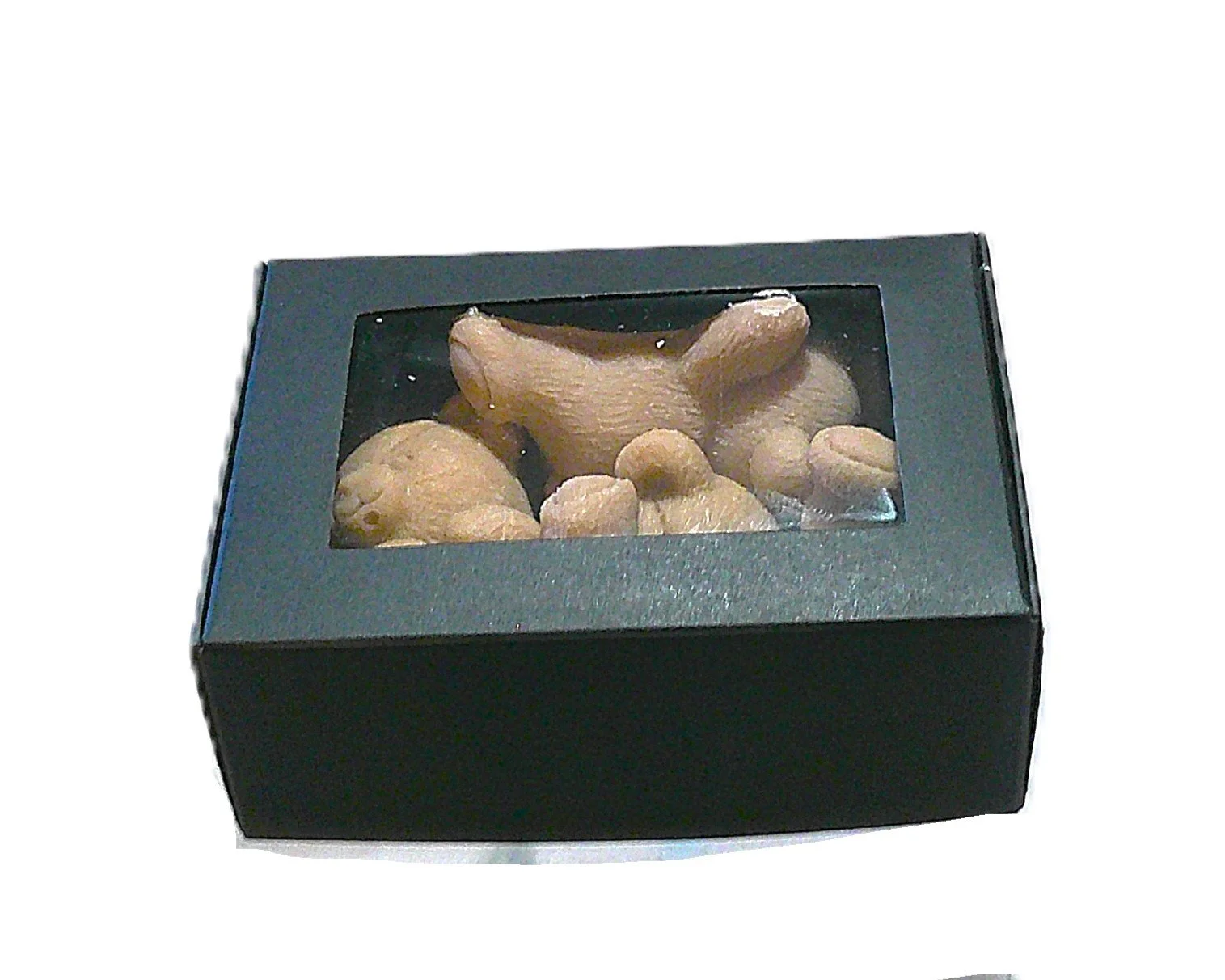 vanilla bean teddy 12.JPG