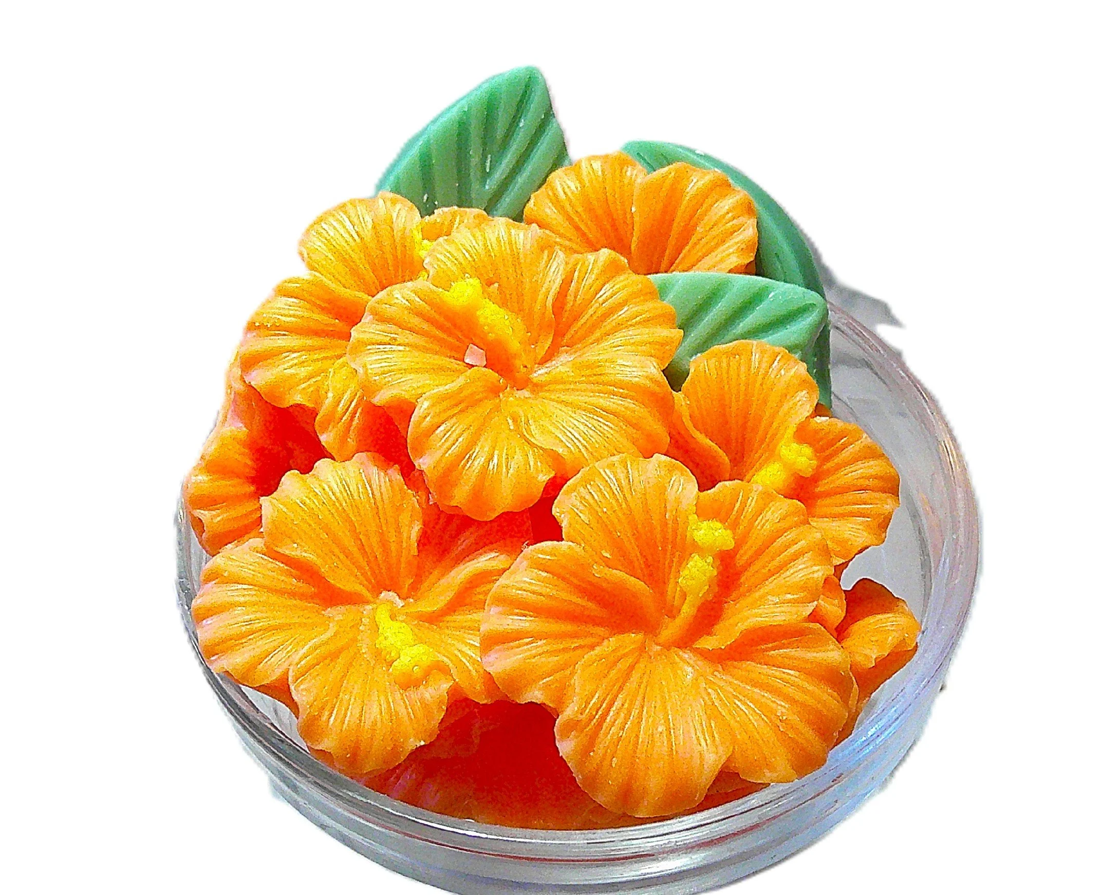 Citrus Hibiscus - ALL NEW!!