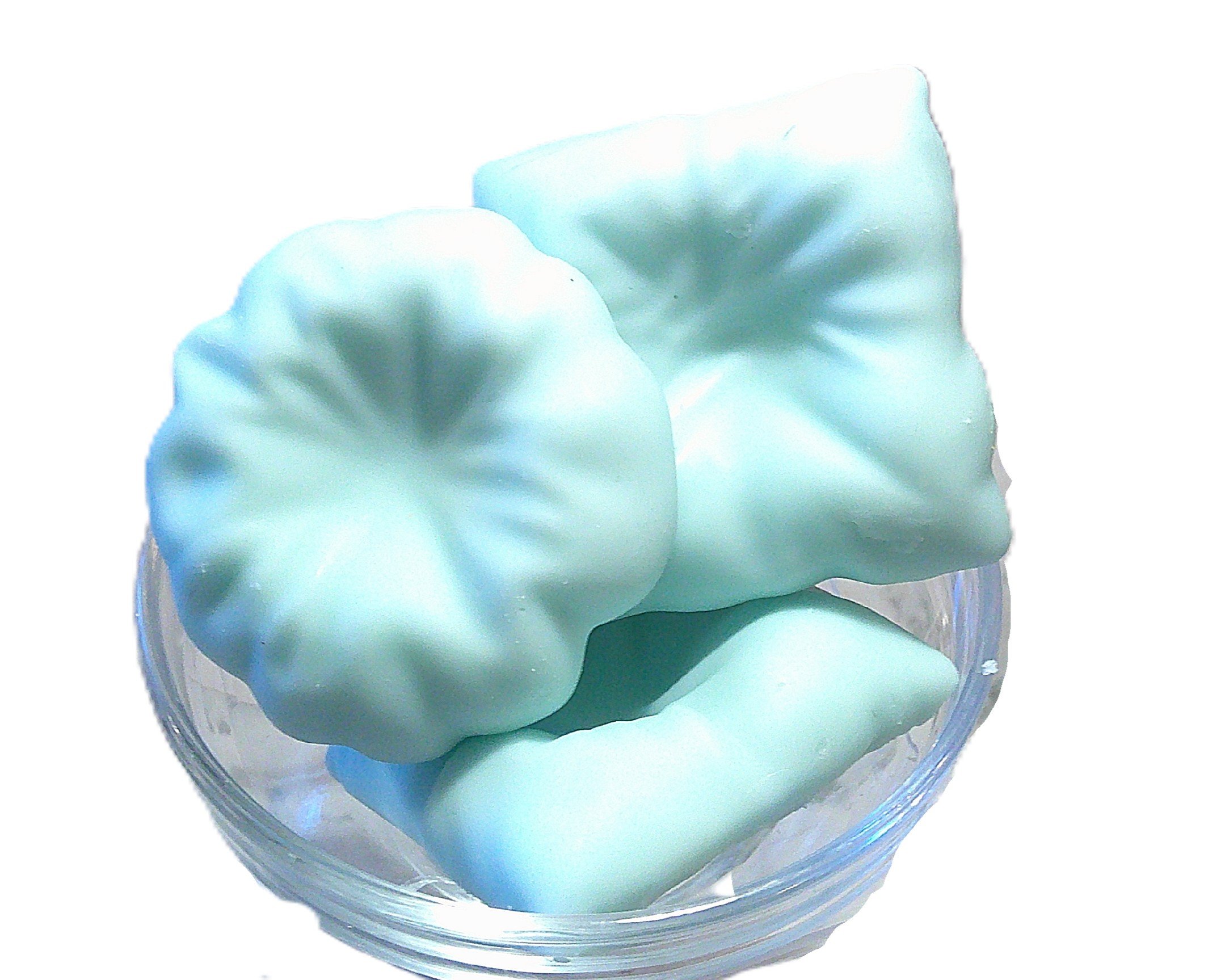 island daydreams.JPG