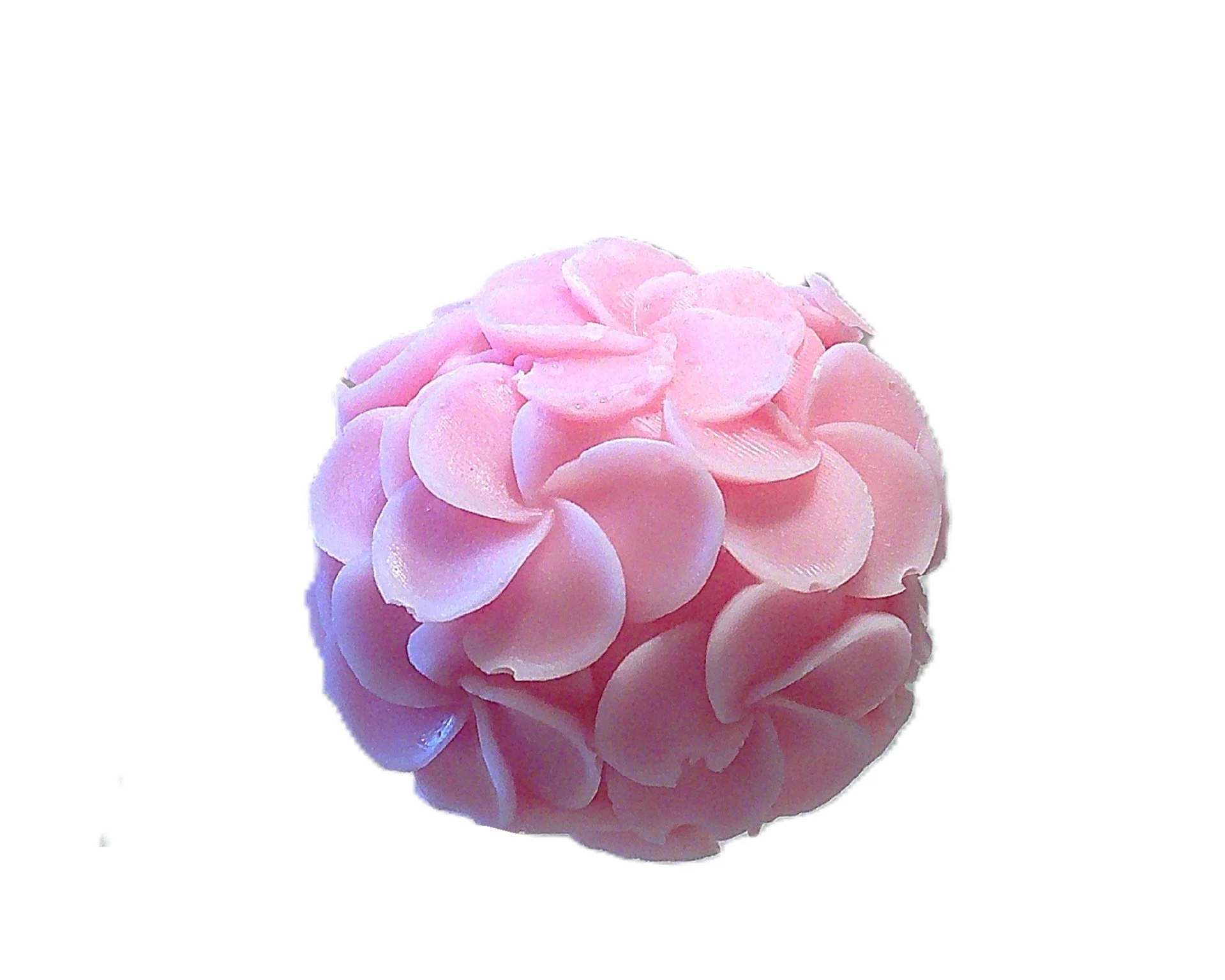 champagne and roses 4.JPG