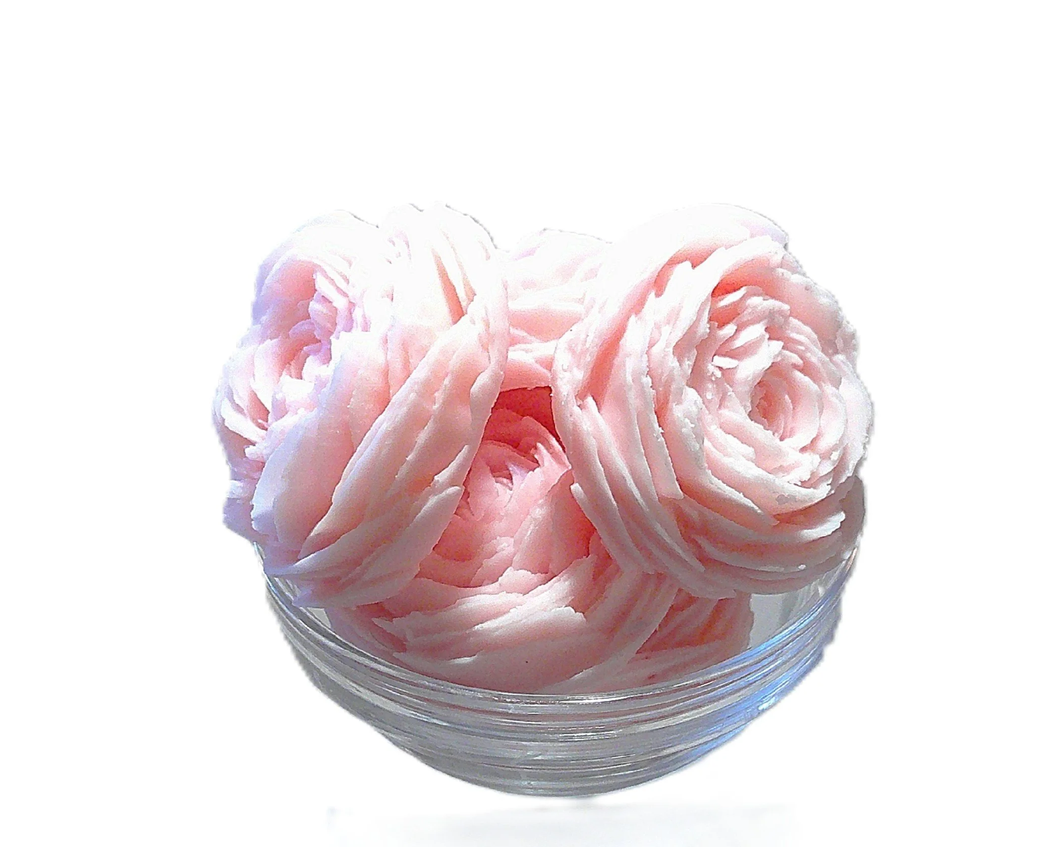 chloes closet flowers.JPG