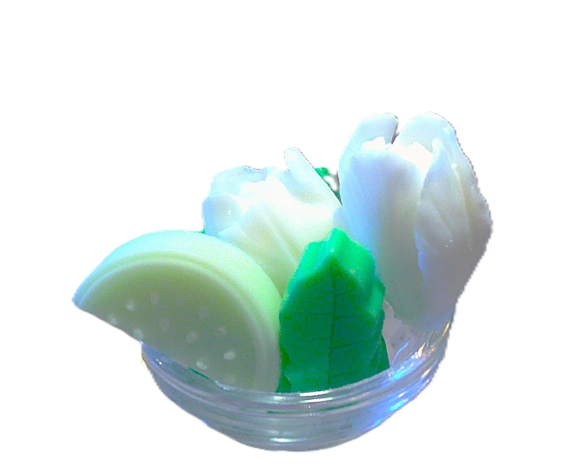 White Rose and Cucumber - NEW!!
