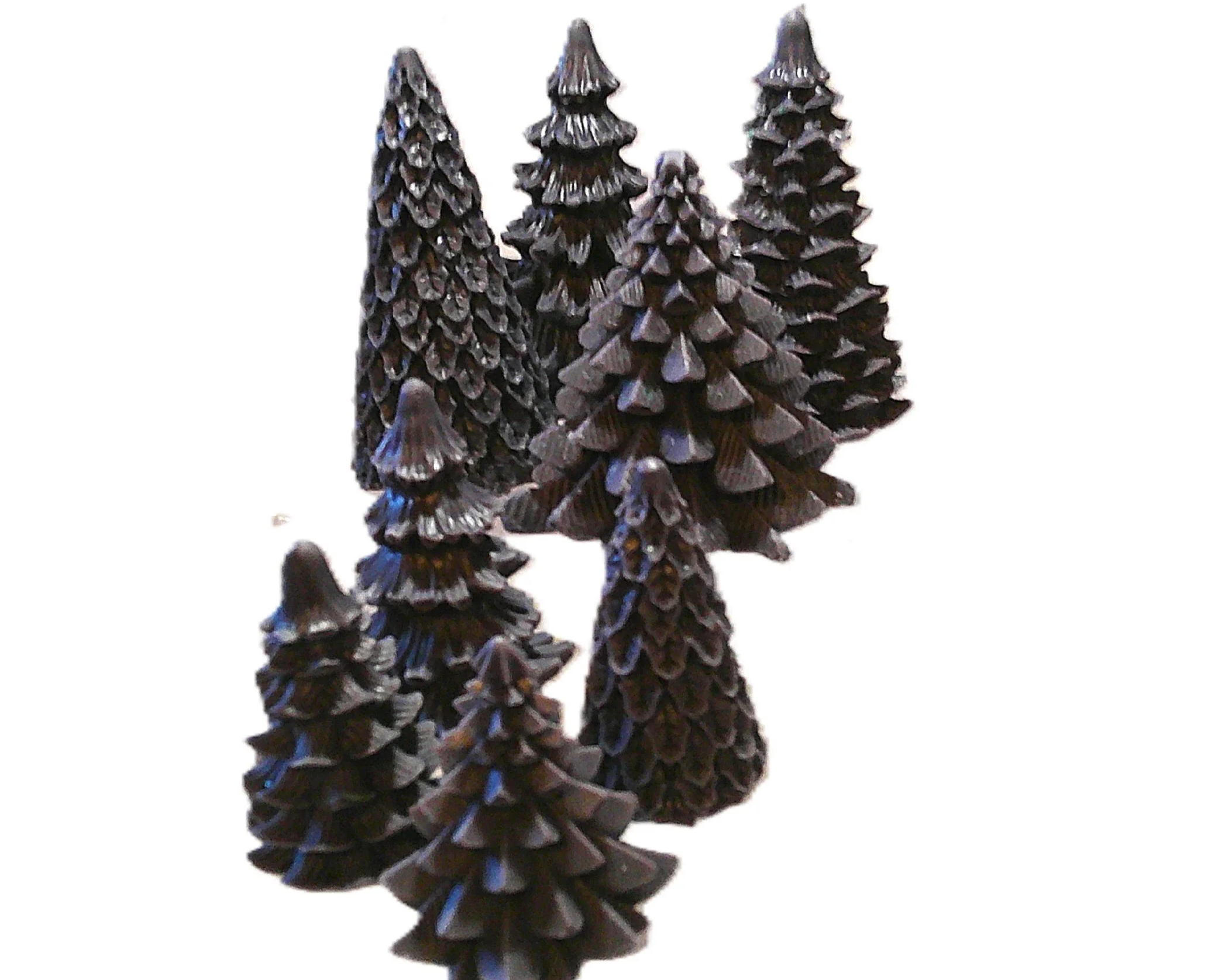 black+forest+4.png