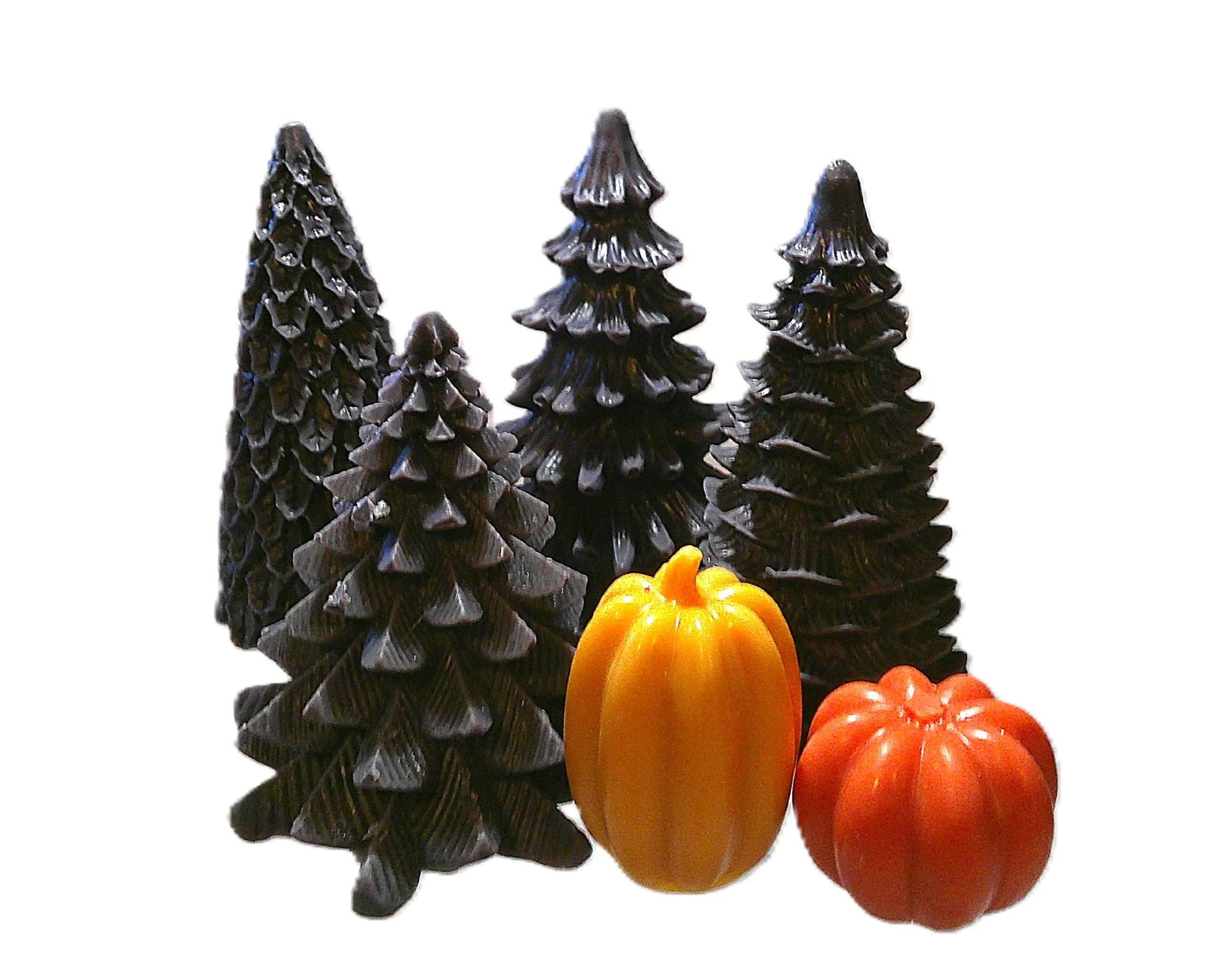 black forest 2.JPG