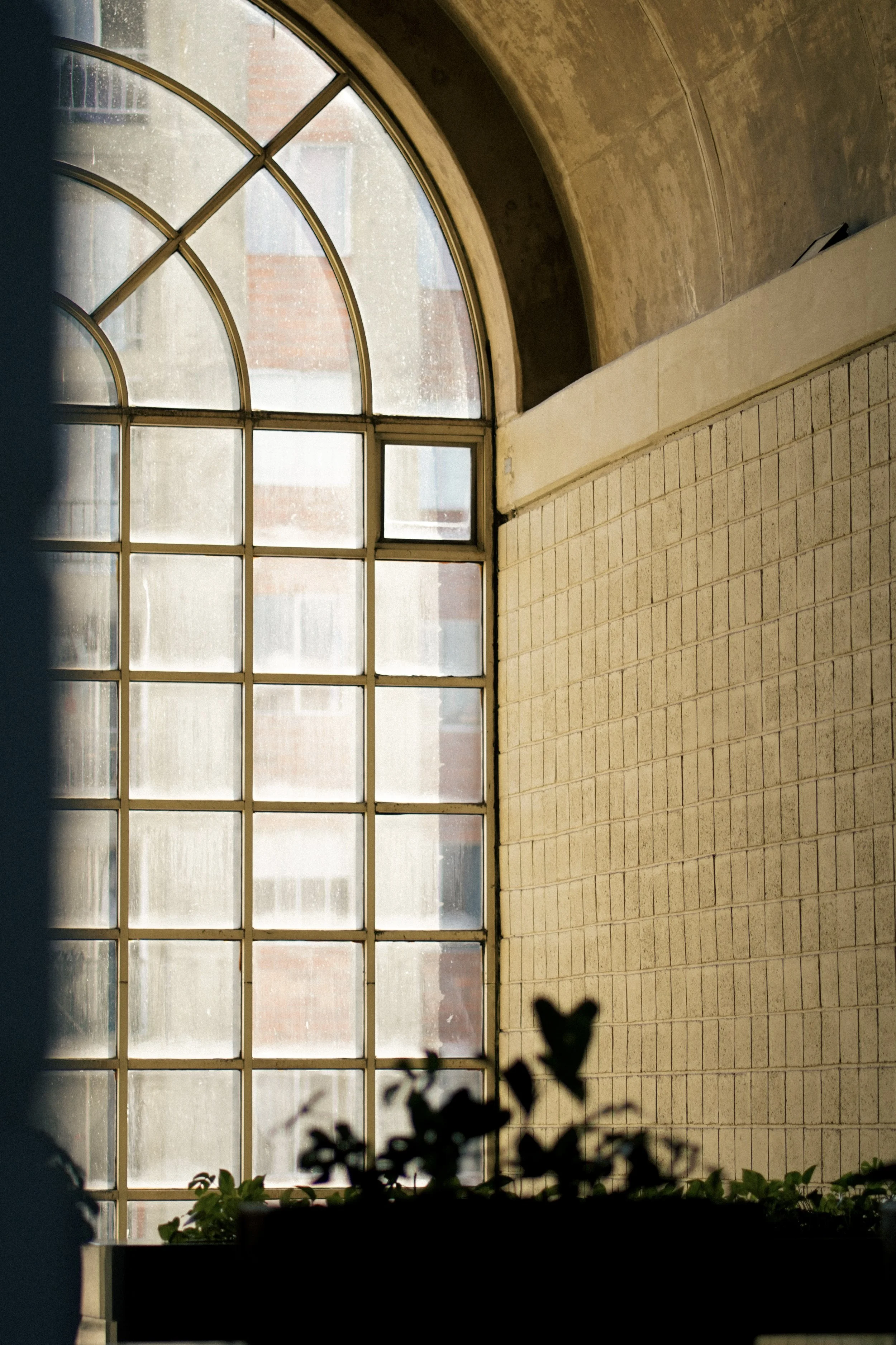 Ventana grande de arco con estructura de metal y cristales, en una pared de ladrillos y cemento, con plantas en primer plano y edificios visibles a través del cristal