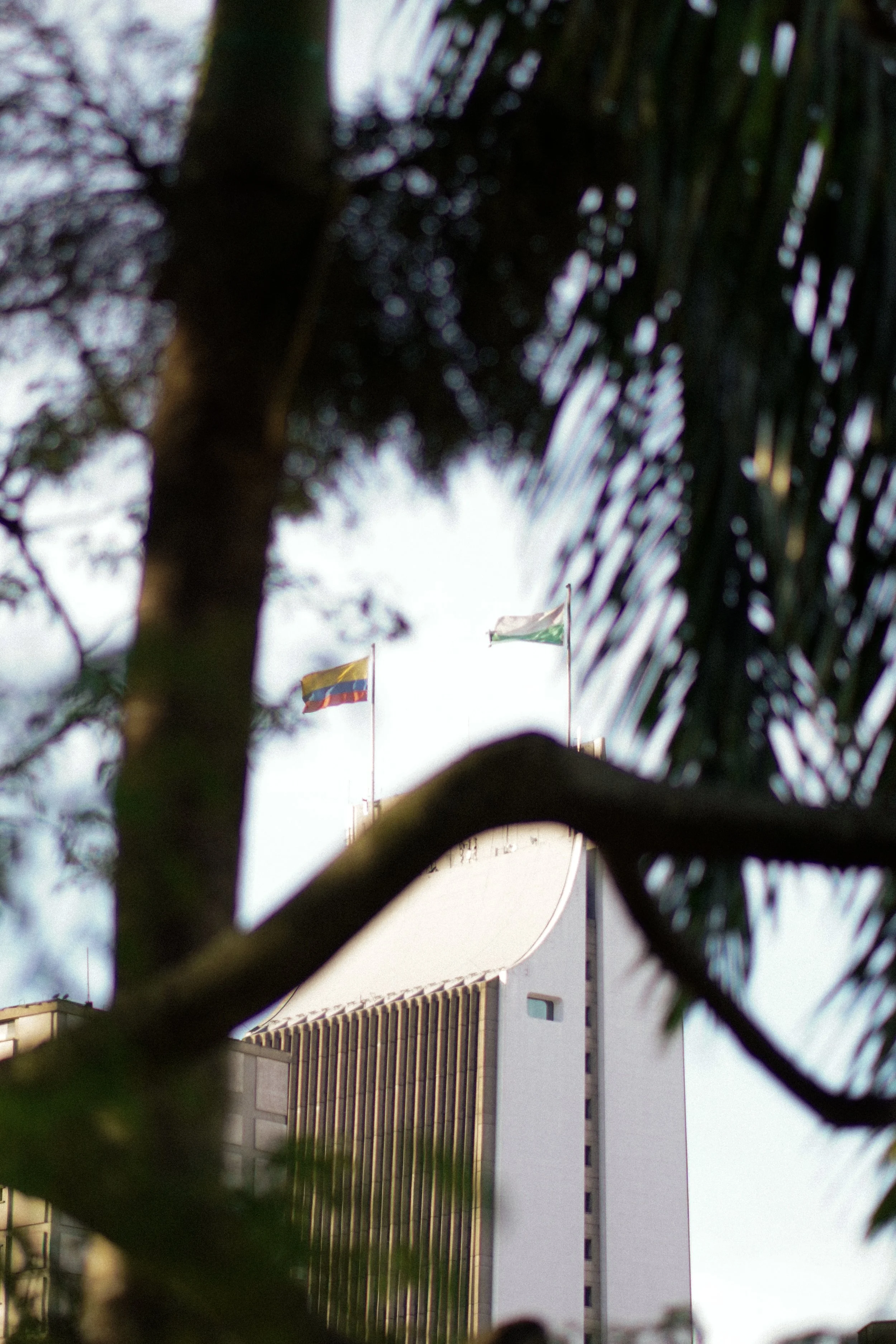 Edificio alto con banderas, parcialmente oculto por ramas y hojas de árboles.