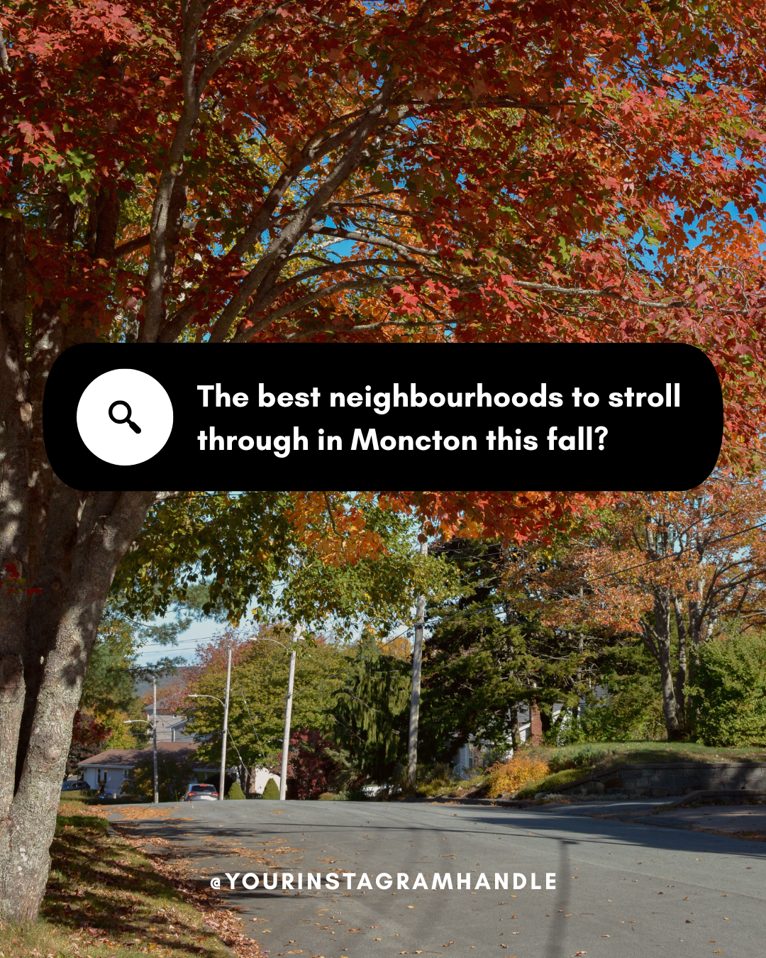 Best Neighbourhoods to Stroll Through in Fall (Moncton)