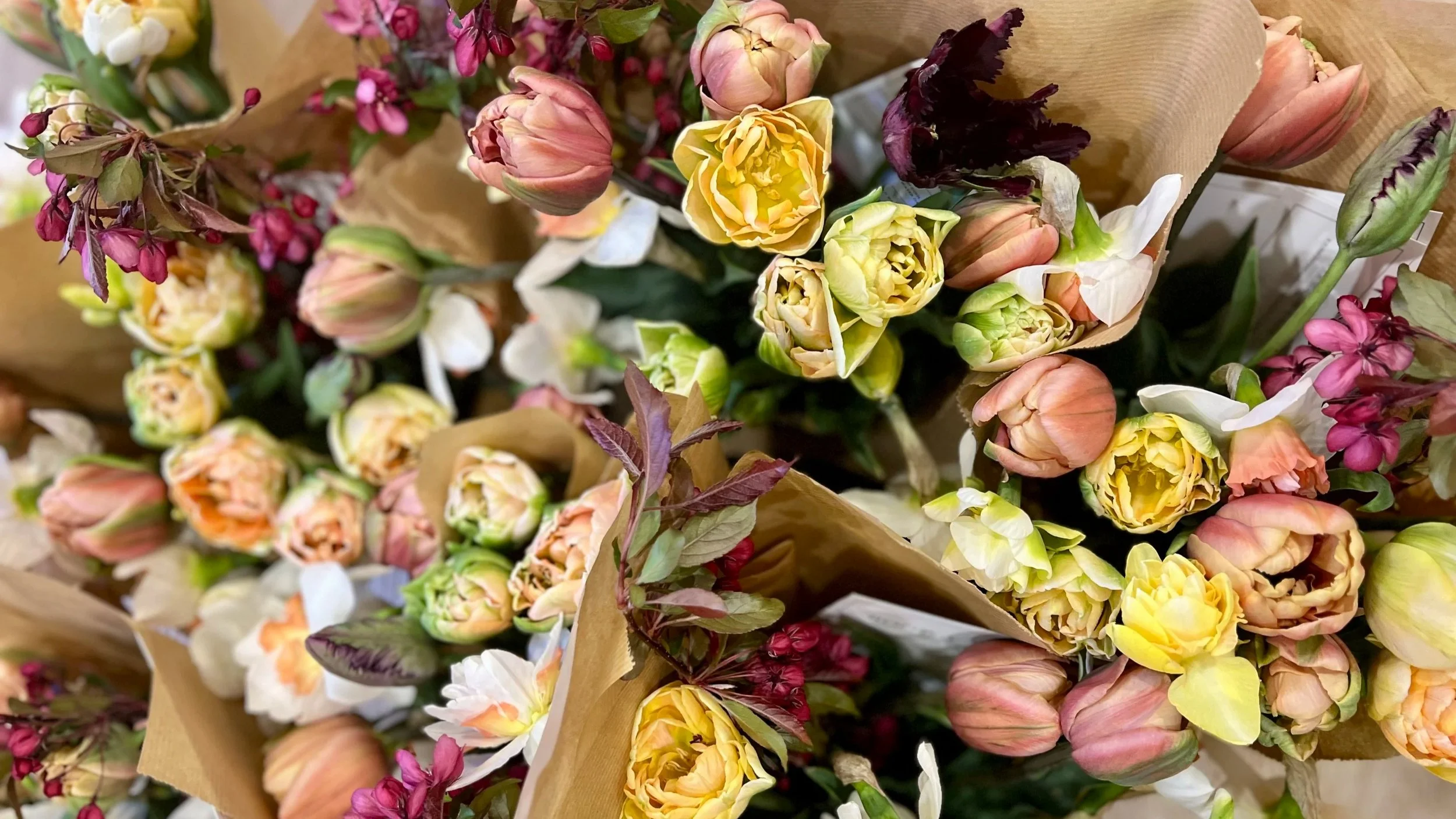 BUNDLE - Spring & Peony Bouquet Subscriptions