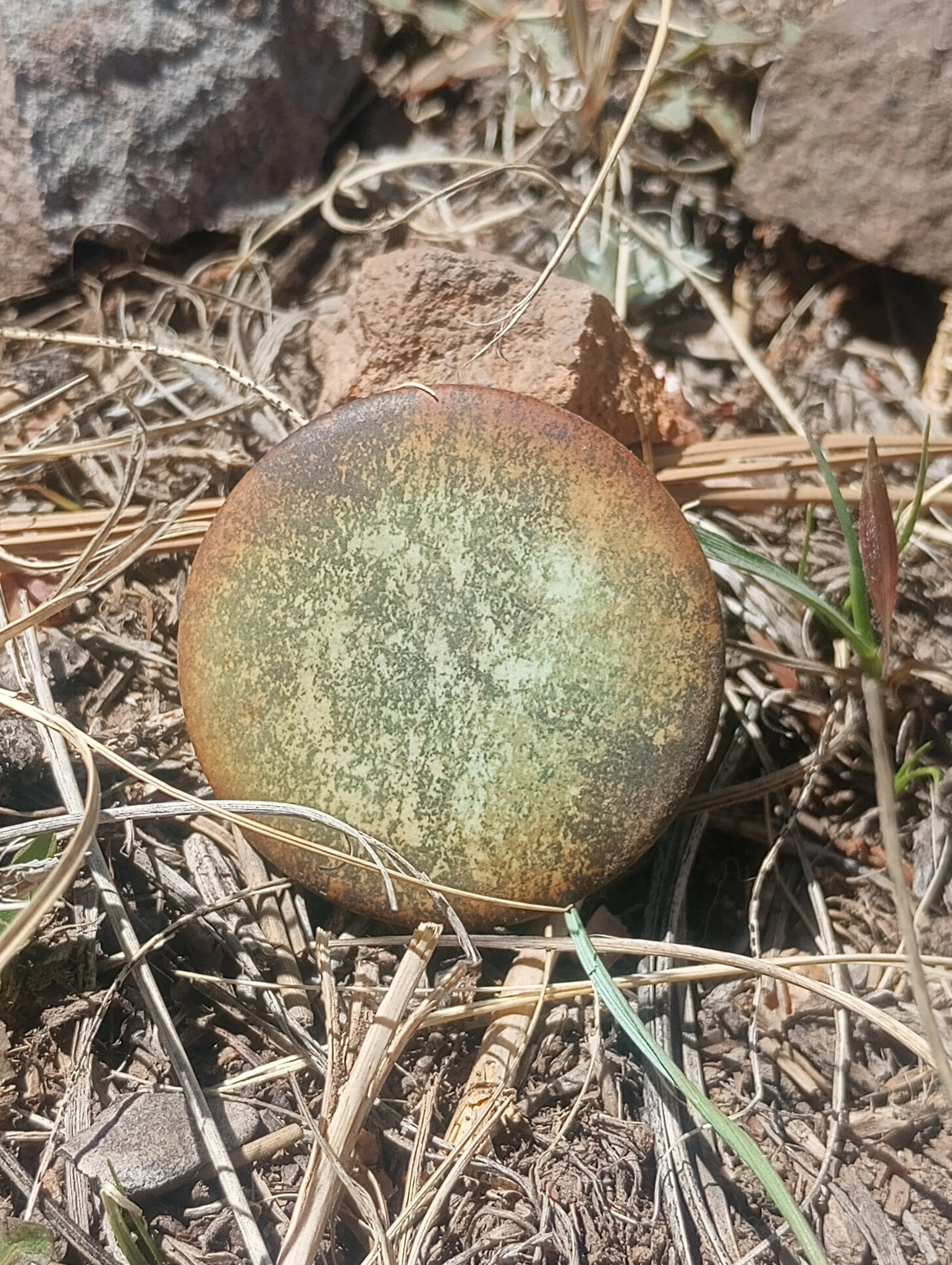 green and rust weather worn button, created from outdoor styling and weahterization,