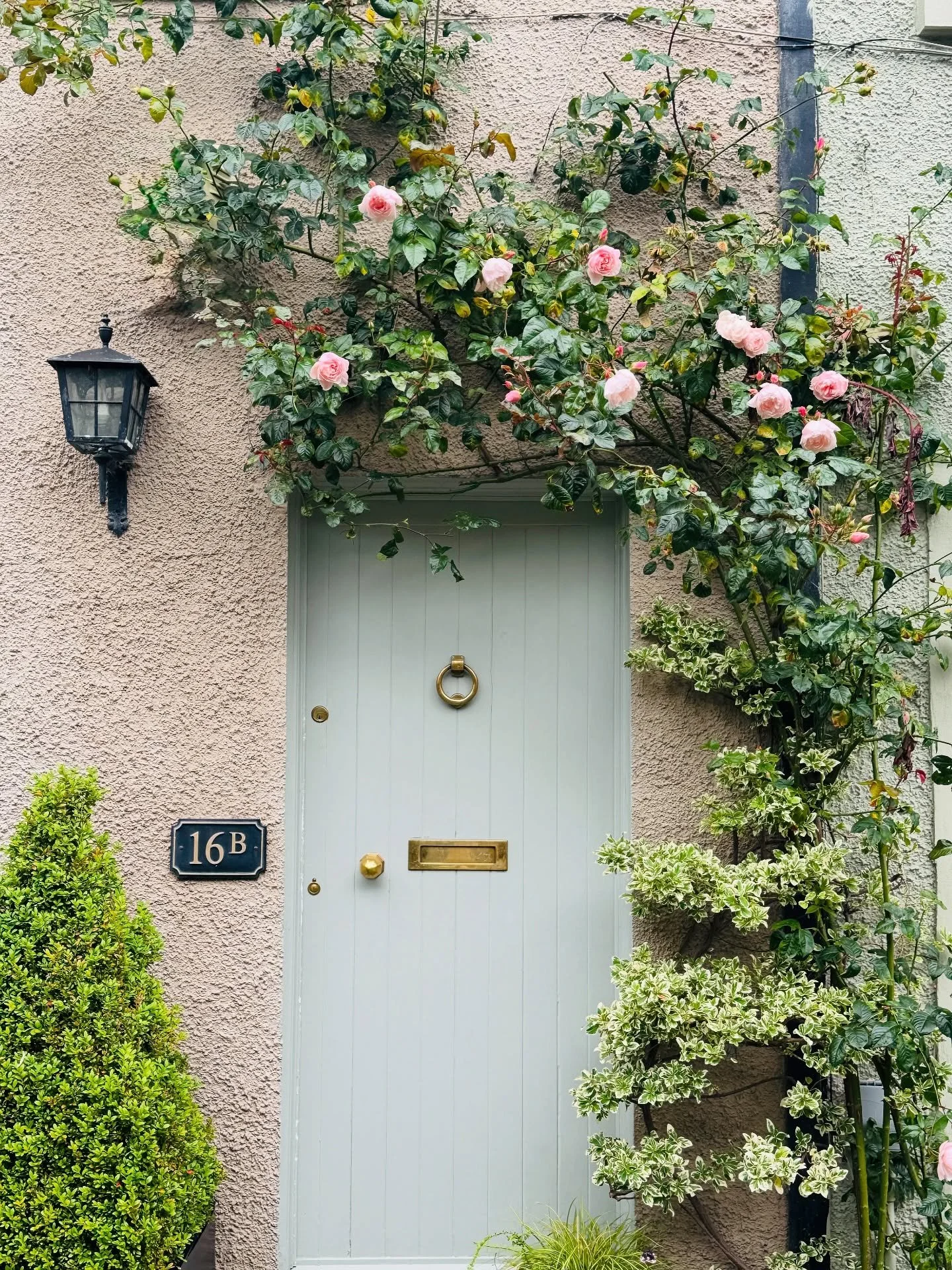 New places have a way of replenishing, I’m back home and feeling like my heart & soul have been topped up to the brim 💕 And would you believe it—just in time for the very first day of spring! 🌸 Fresh blooms, lighter days, and that l