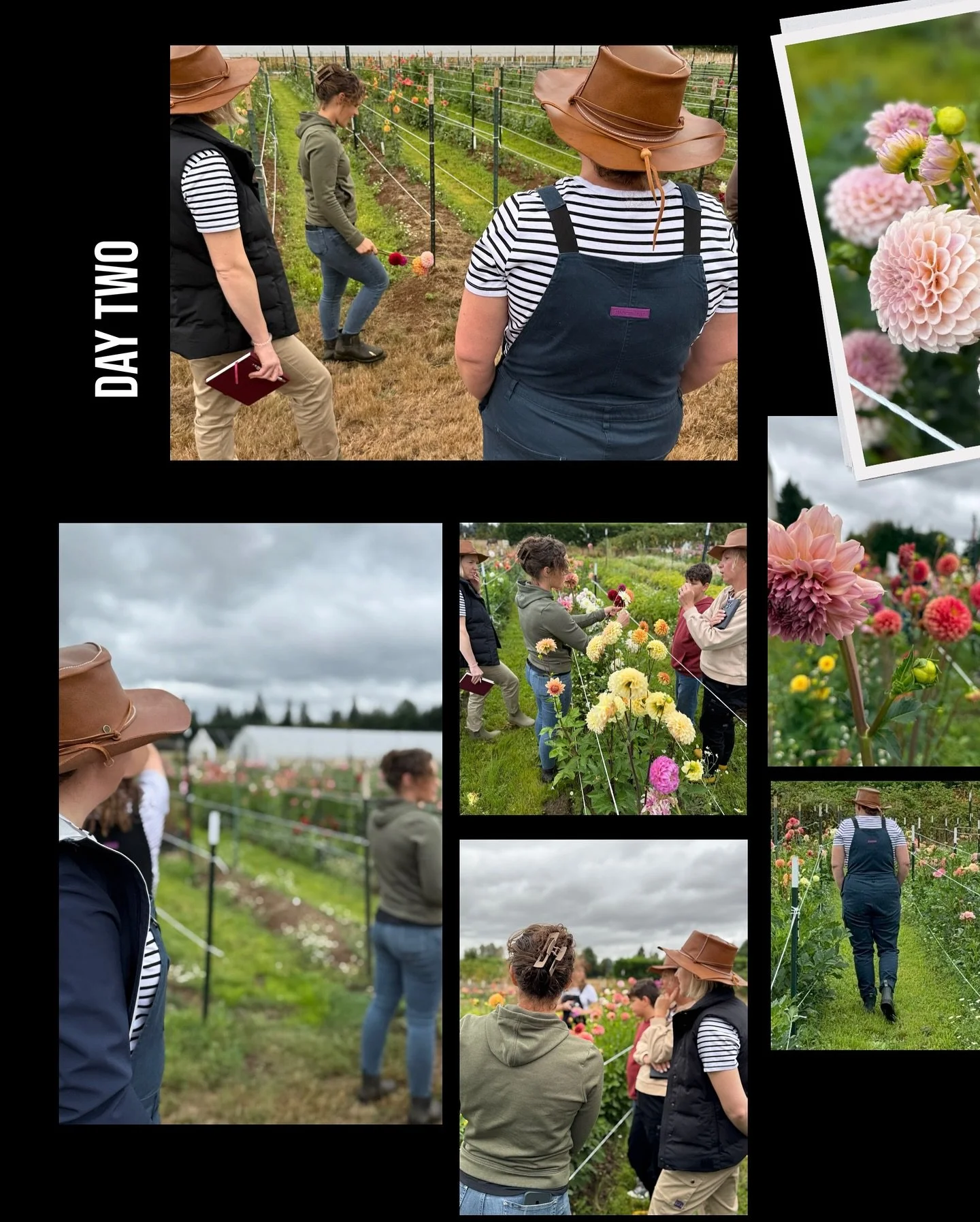 Back to August ! Not nearly enough photos on this grid from my amazing trip with @botanicalsflowertours to beautiful Washington State. Day Two of our flower farm tour started at the crack of dawn on a raining morning. After a 4 hour tour bus karaoke