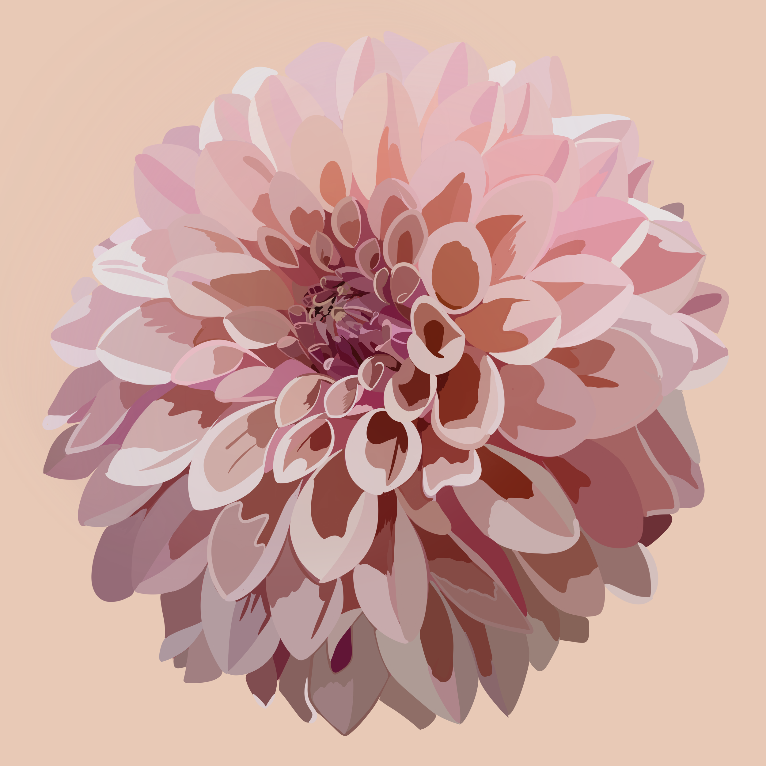 IMG_0447.png