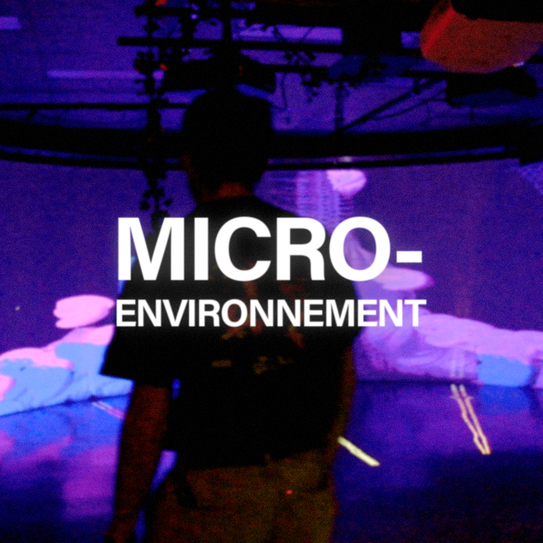 Micro-environnement