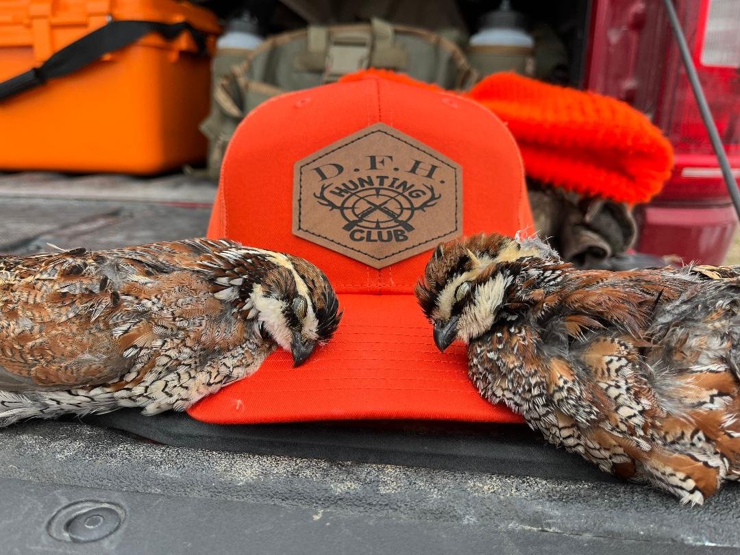 The Banshee Bobwhites of the Swamp