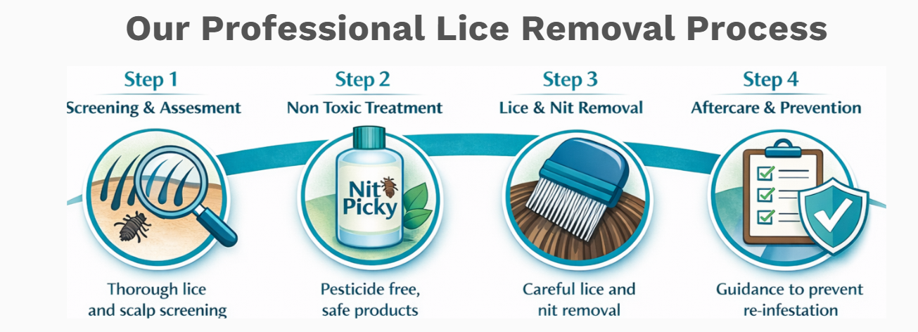 Oceanside professional lice treatment and removal process by Nit Picky® featuring lice screening, non-toxic treatment, lice and nit removal, and prevention guidance.