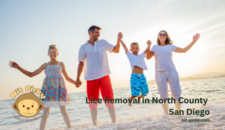 Lice Removal in North County San Diego: Oceanside, Carlsbad, Vista, Encinitas &amp; More