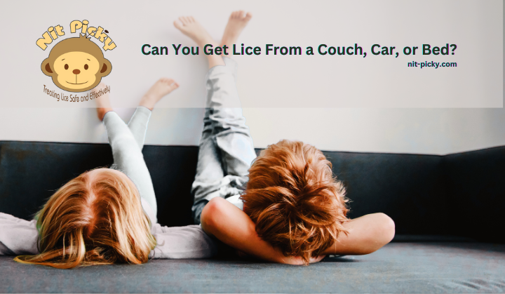 Can You Get Lice From a Couch, Car, or Bed? What Parents Should Know