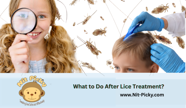 What to Do After Lice Treatment