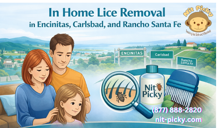 In Home Lice Removal in Encinitas, Carlsbad, and Rancho Santa Fe