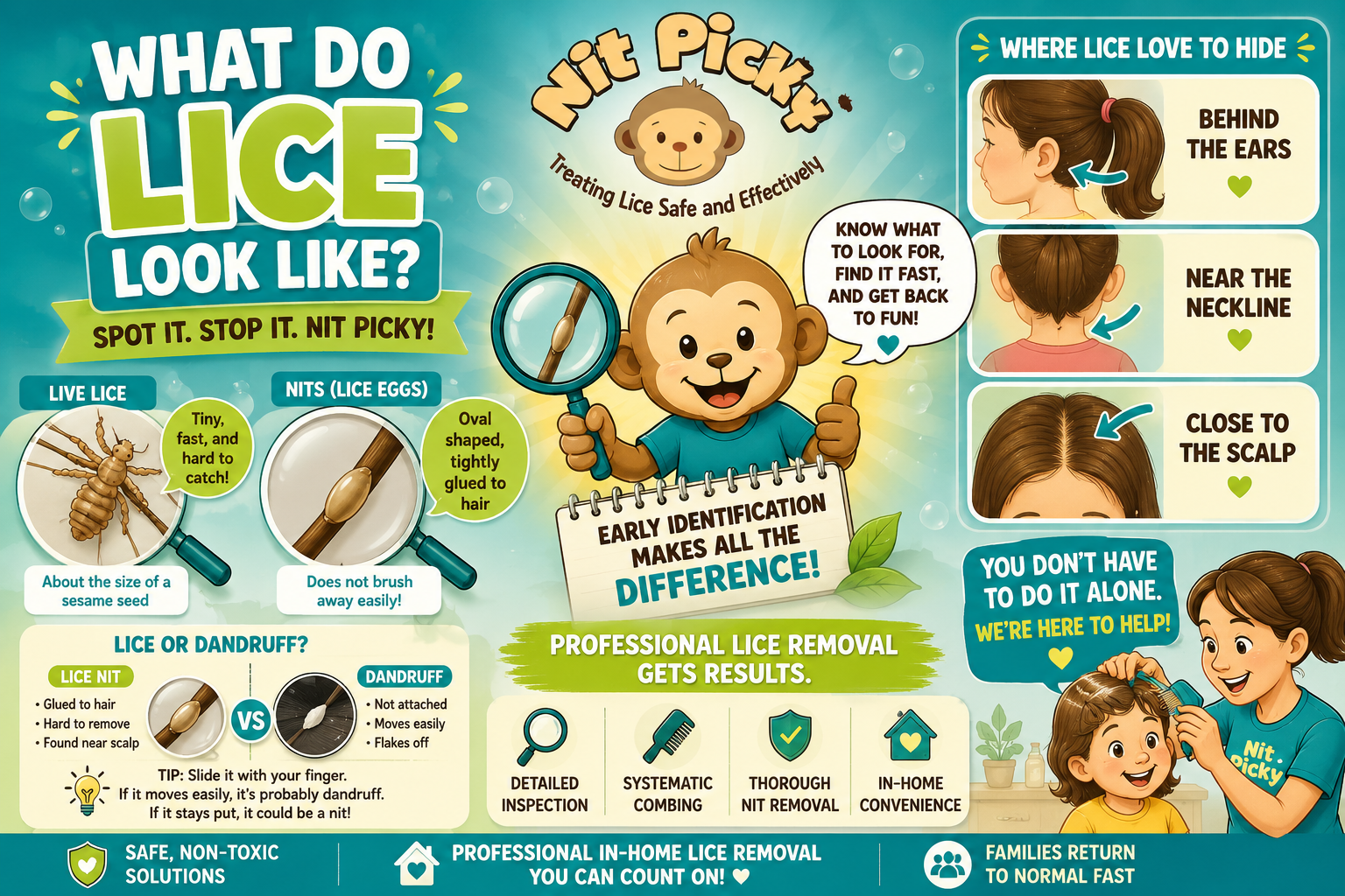 what does lice look like Nit Picky lice treatment and removal branded educational.